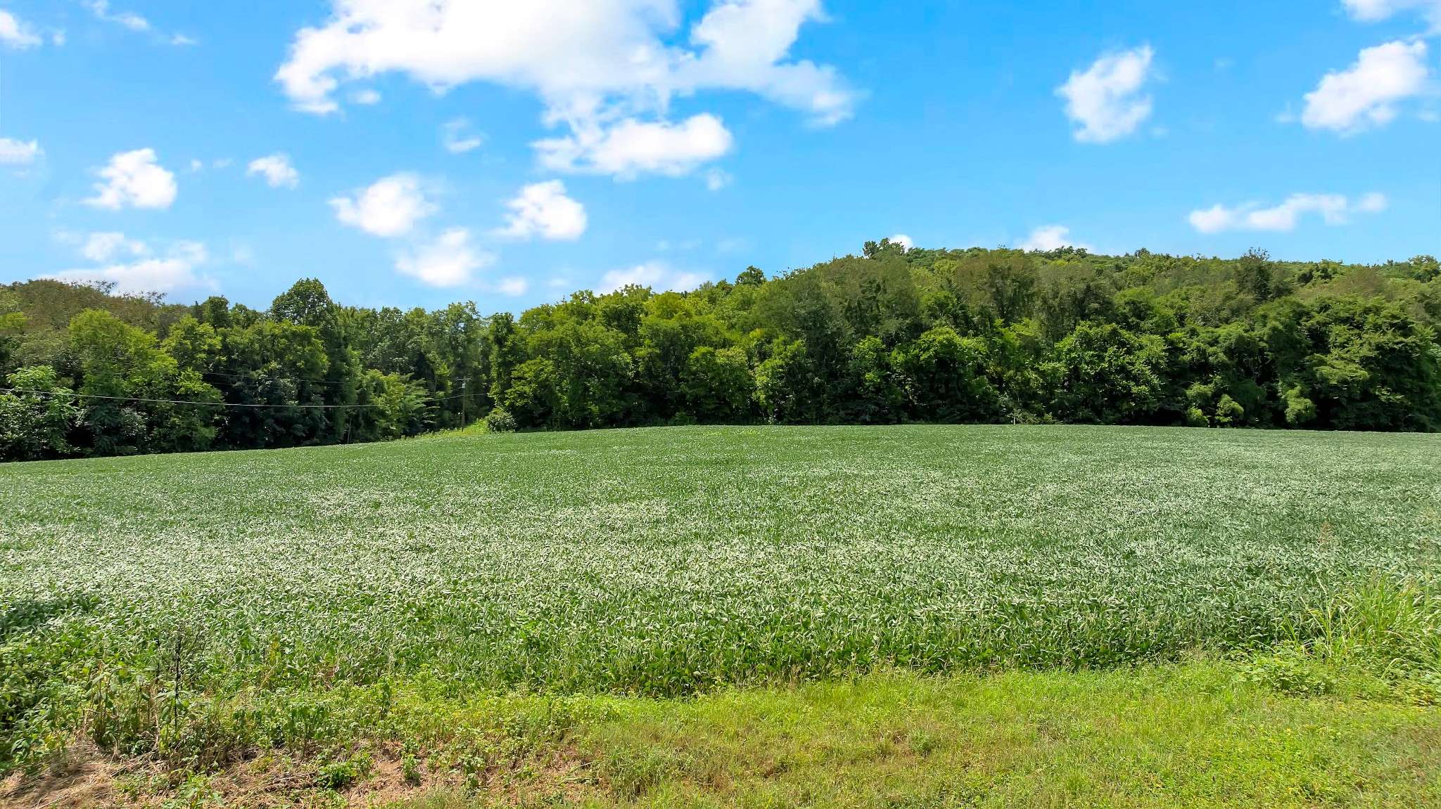 0 Red Hill Rd, Normandy, TN 37360