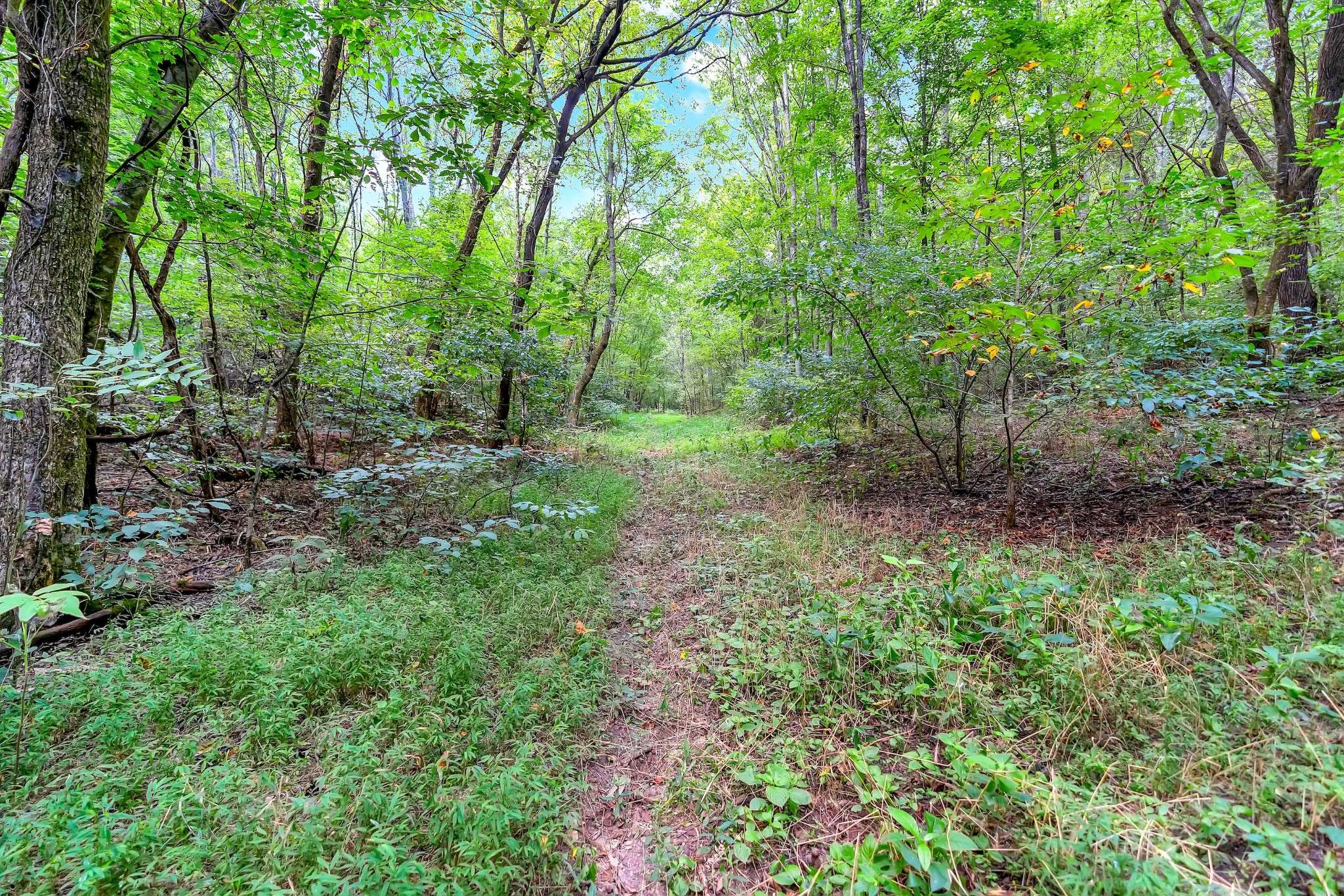 0 Red Hill Rd, Normandy, TN 37360