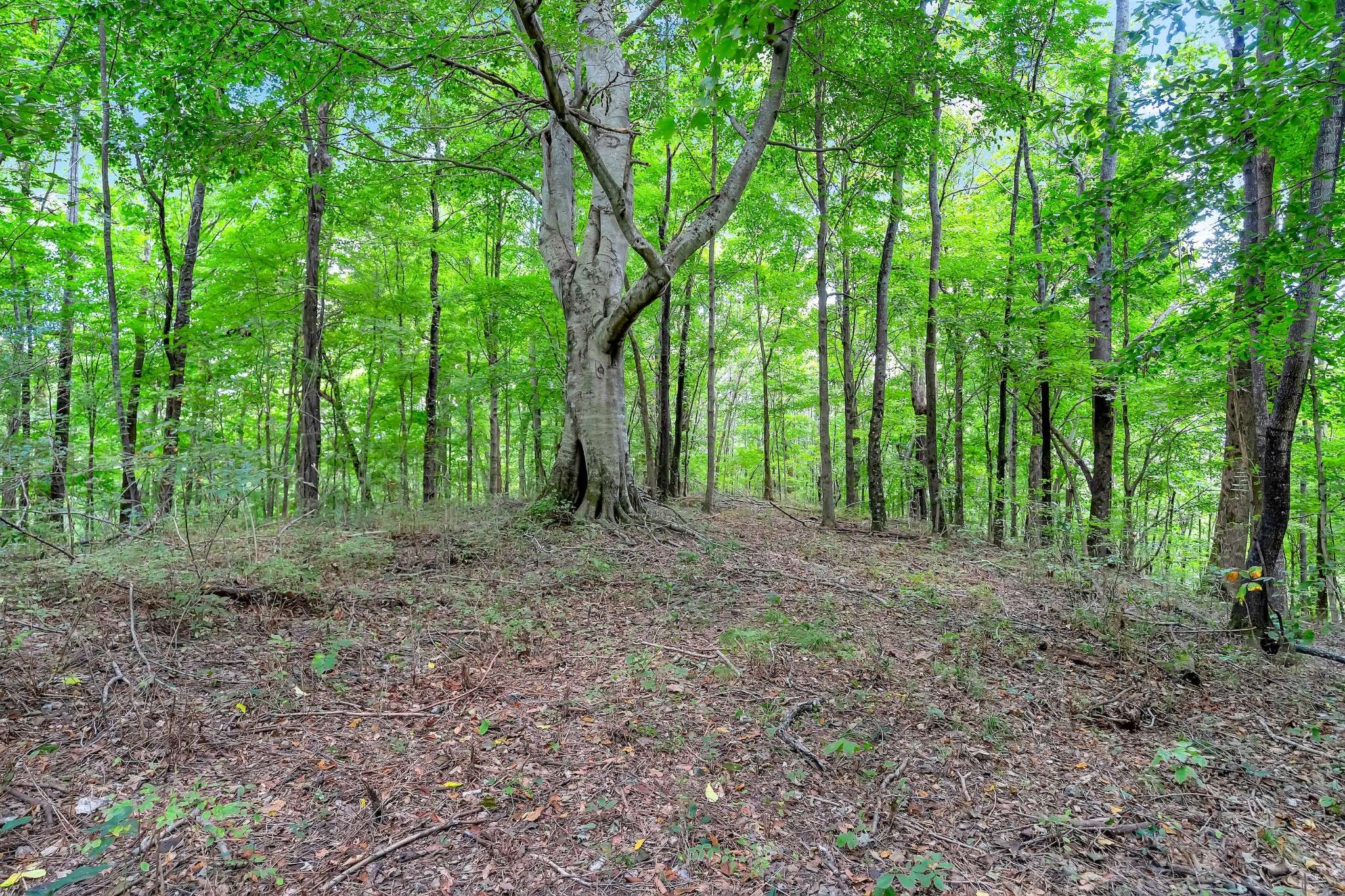 0 Red Hill Rd, Normandy, TN 37360
