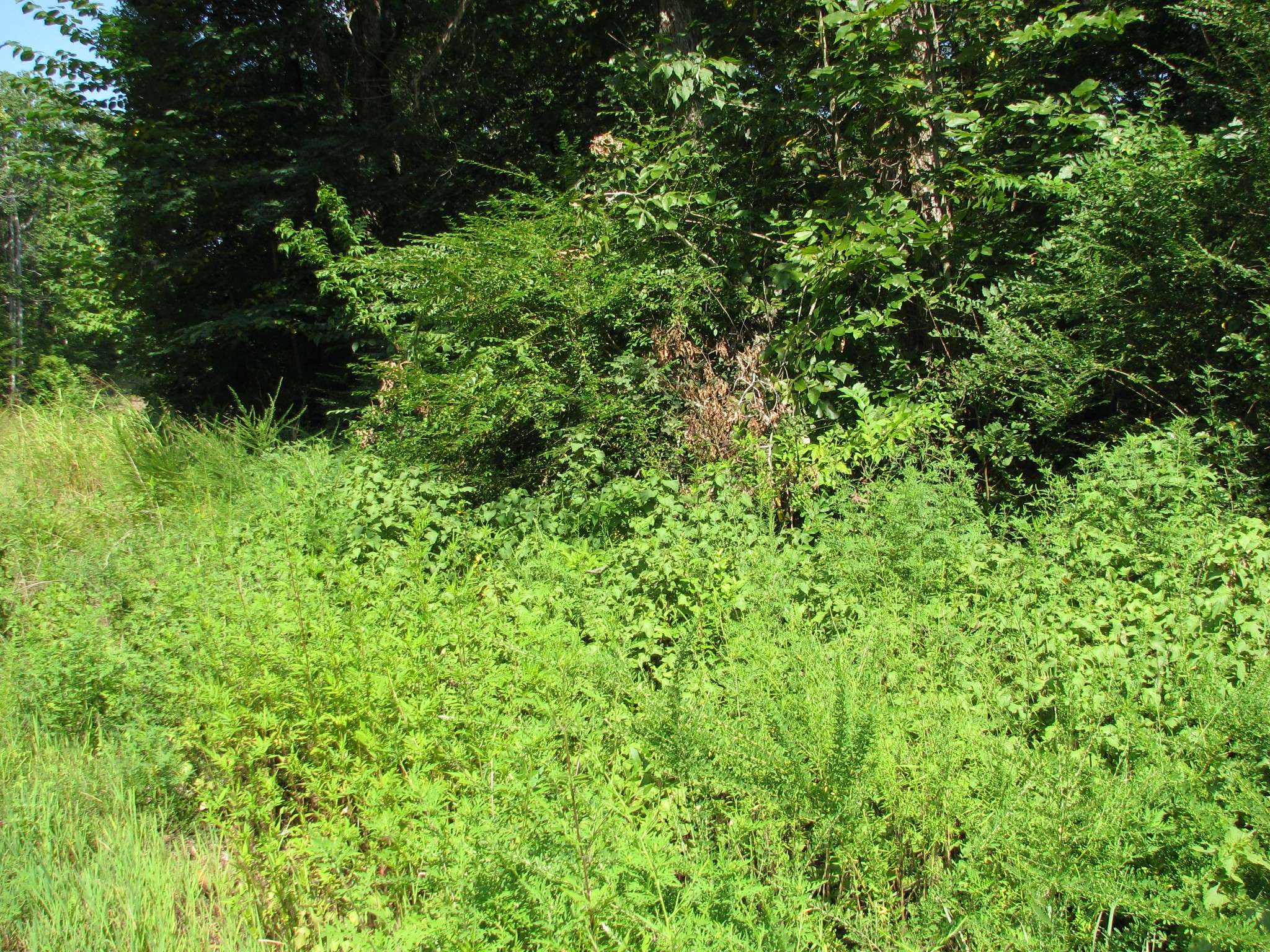 0 Sycamore Landing Rd, Waverly, TN 37185