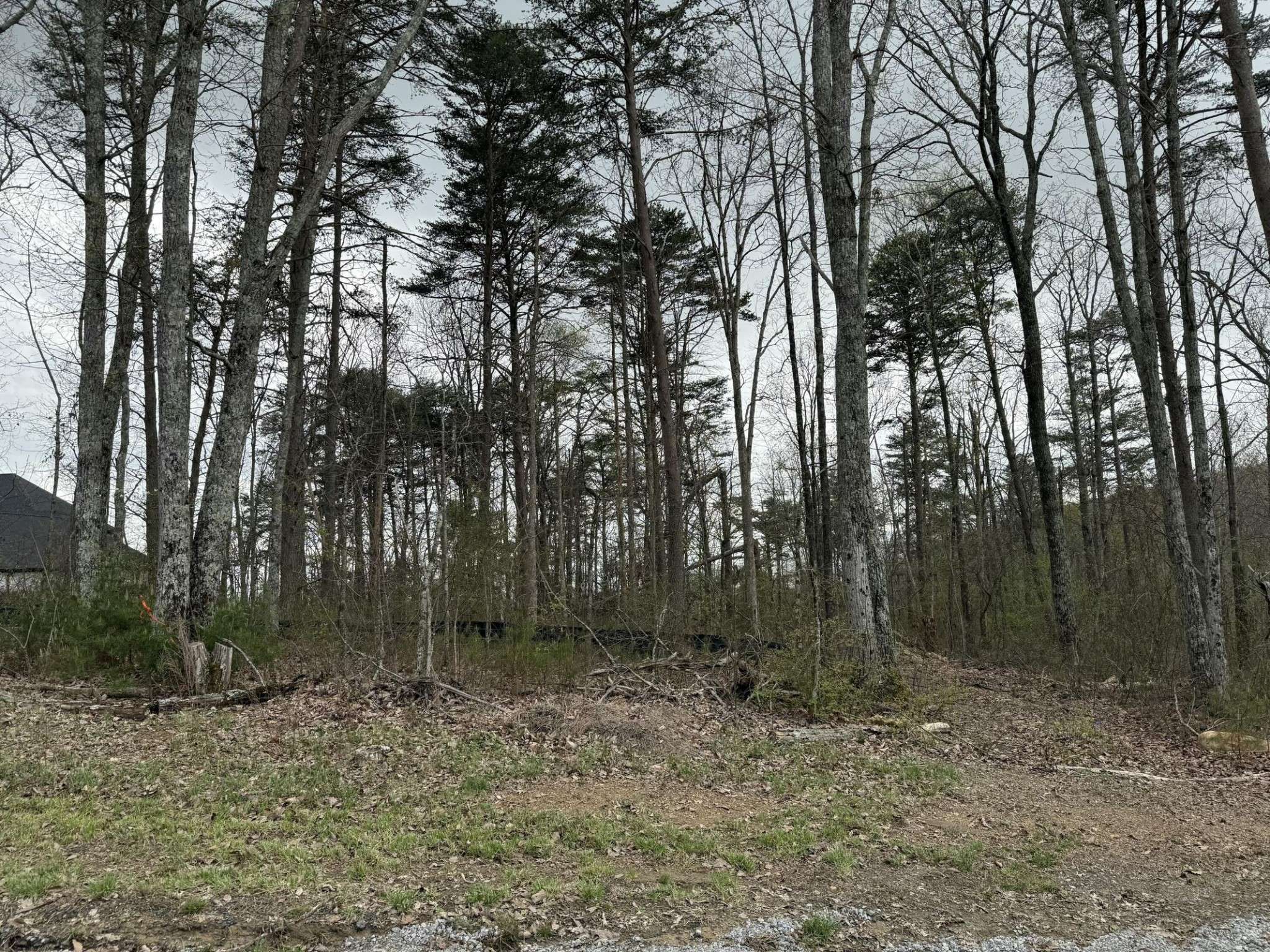 8216 Mountain Laurel Trl, Signal Mountain, TN 37377