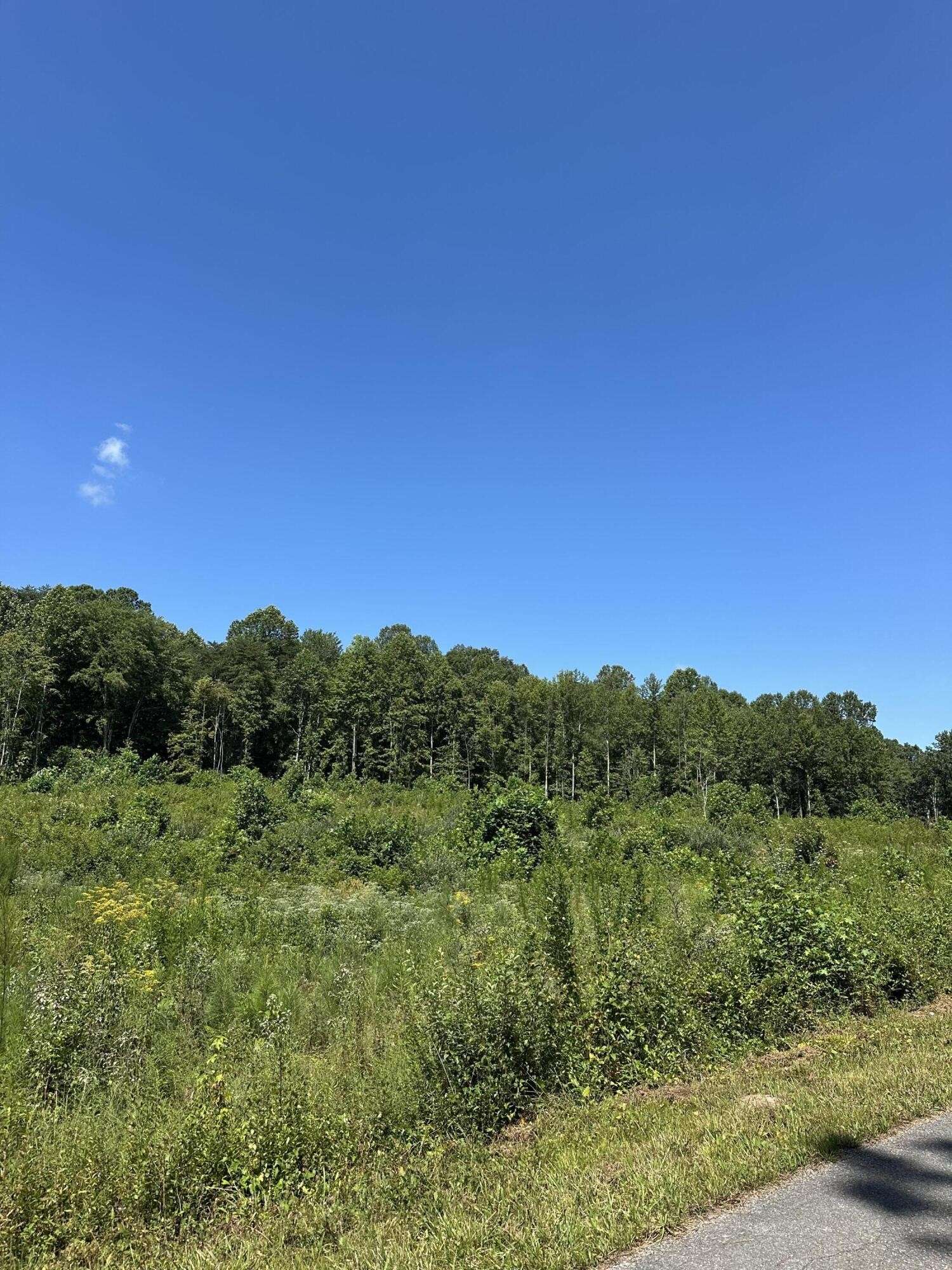 12 Dykes Hollow Road, Tracy City, TN 37387