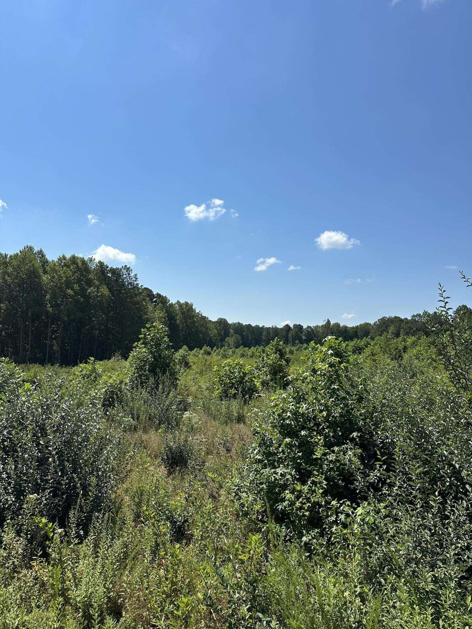 12 Dykes Hollow Road, Tracy City, TN 37387
