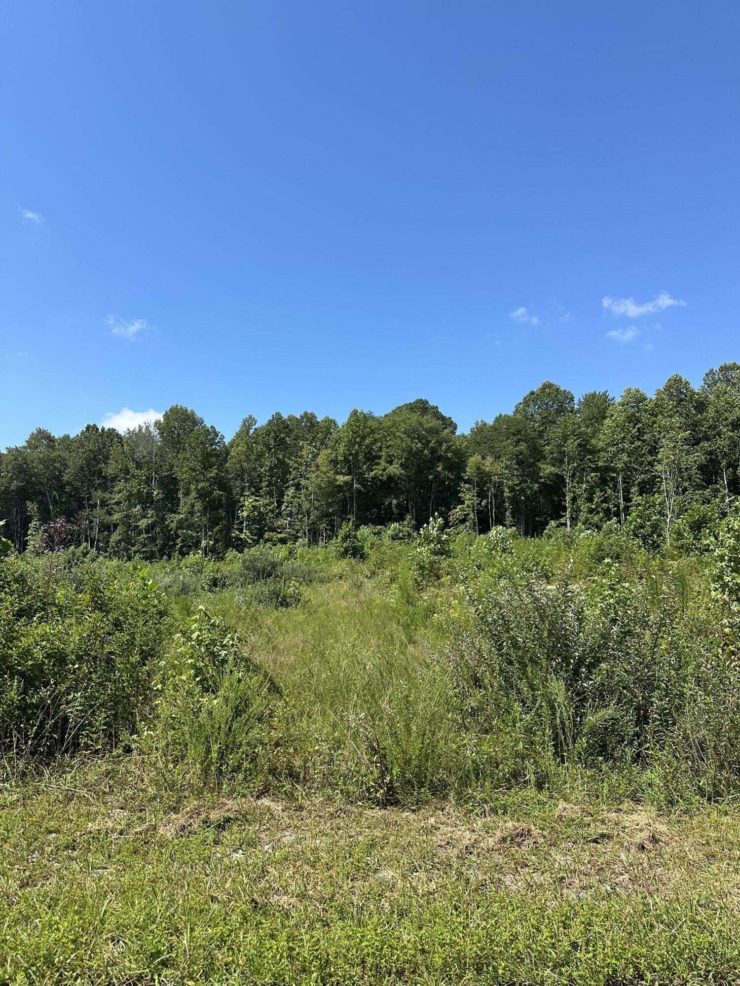 12 Dykes Hollow Road, Tracy City, TN 37387