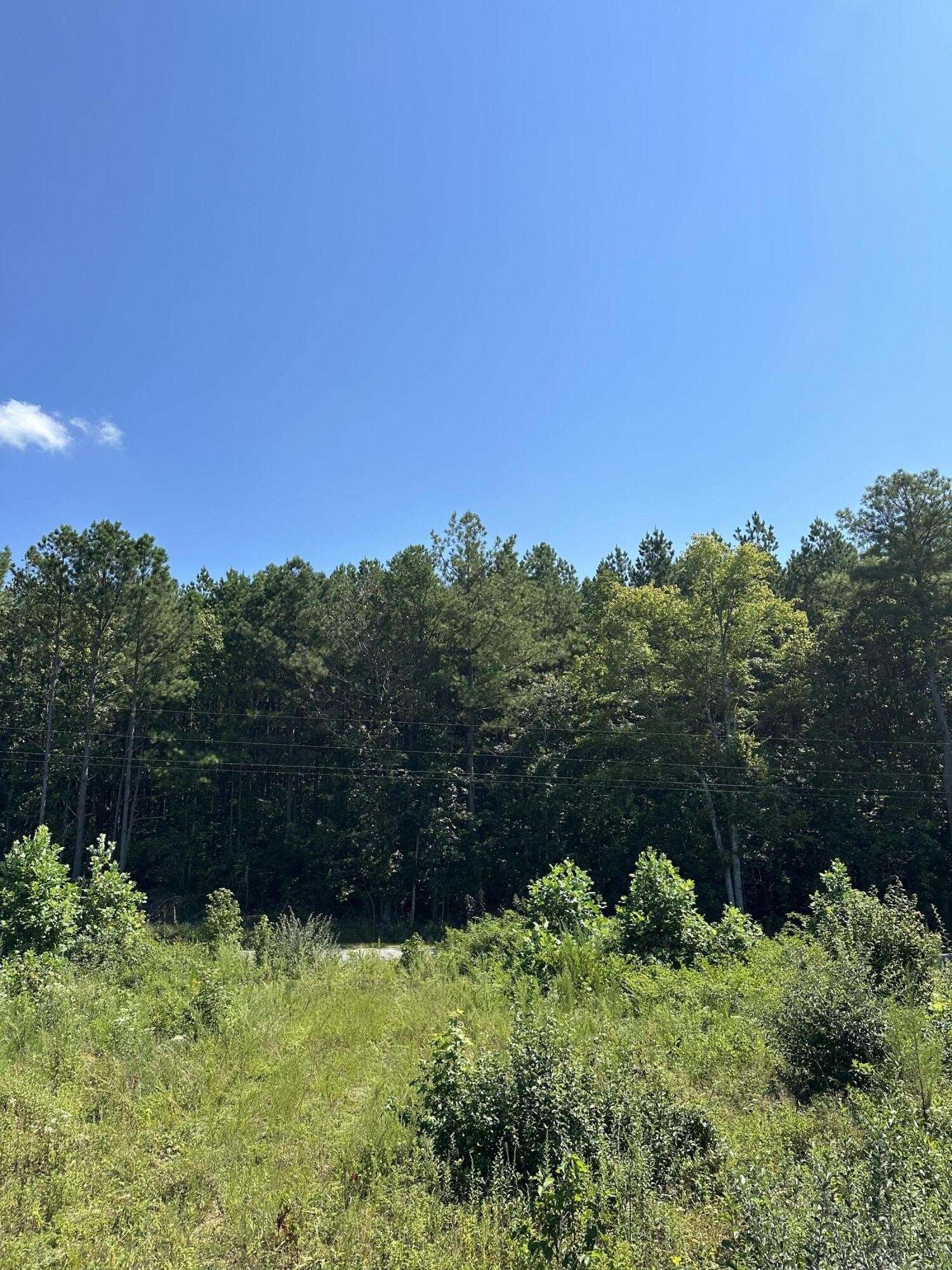 12 Dykes Hollow Road, Tracy City, TN 37387