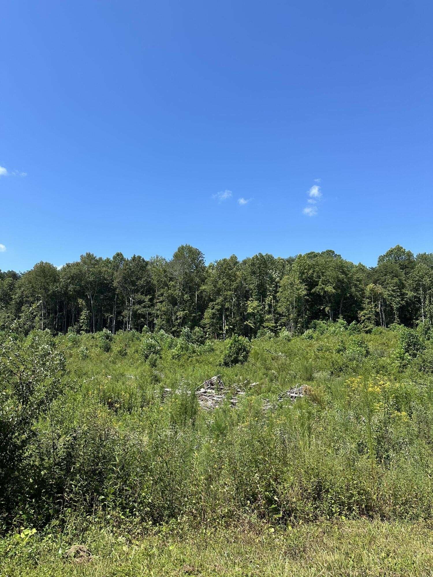 12 Dykes Hollow Road, Tracy City, TN 37387