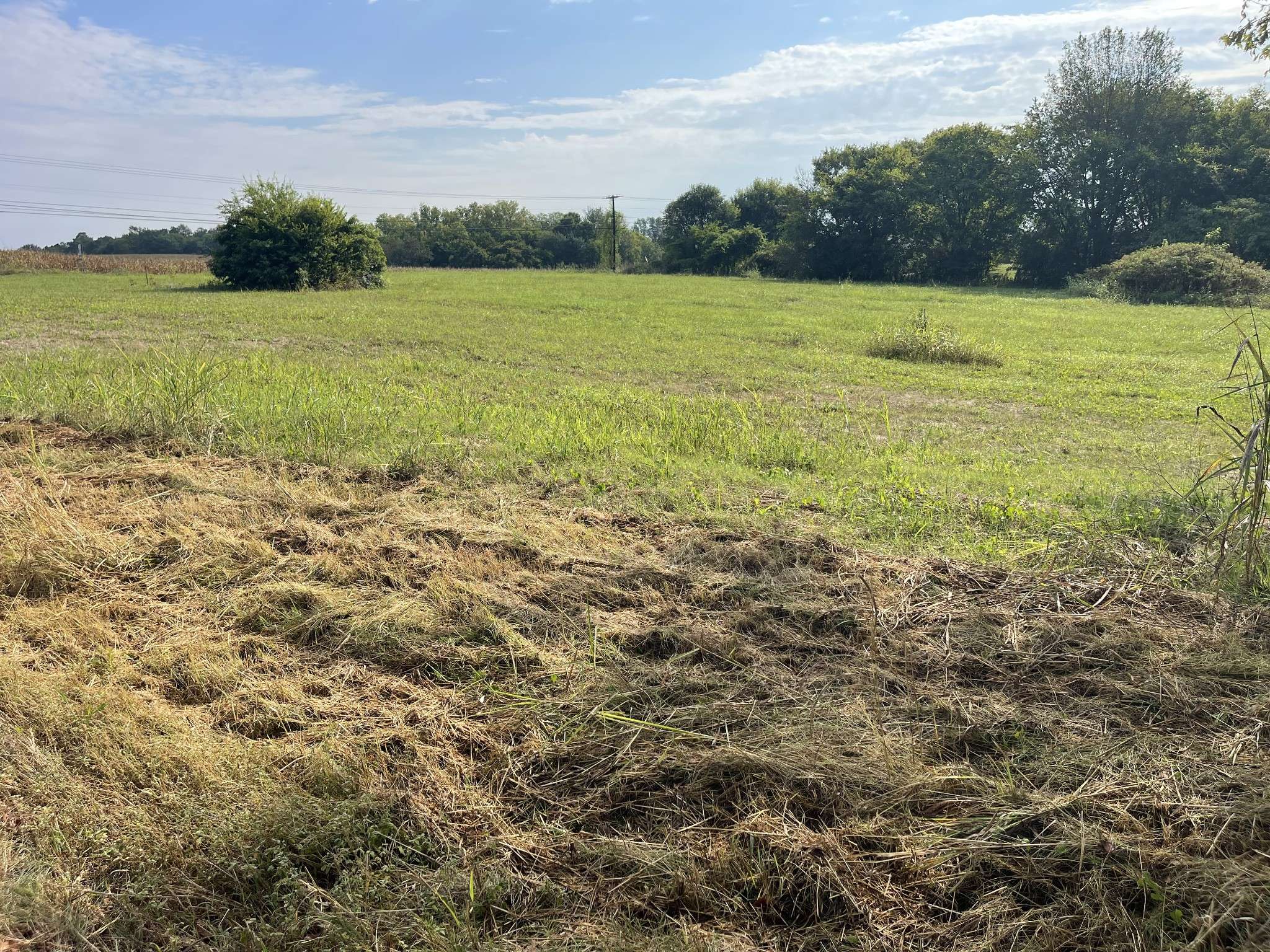 0 Williamsport Pike, Columbia, TN 38401