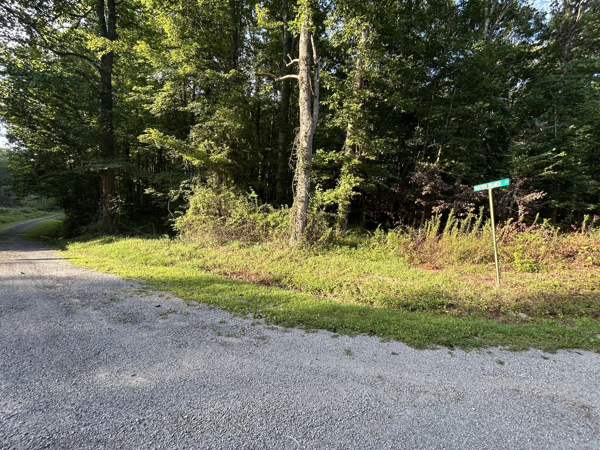 0 Panther Branch Road, Jamestown, TN 38556