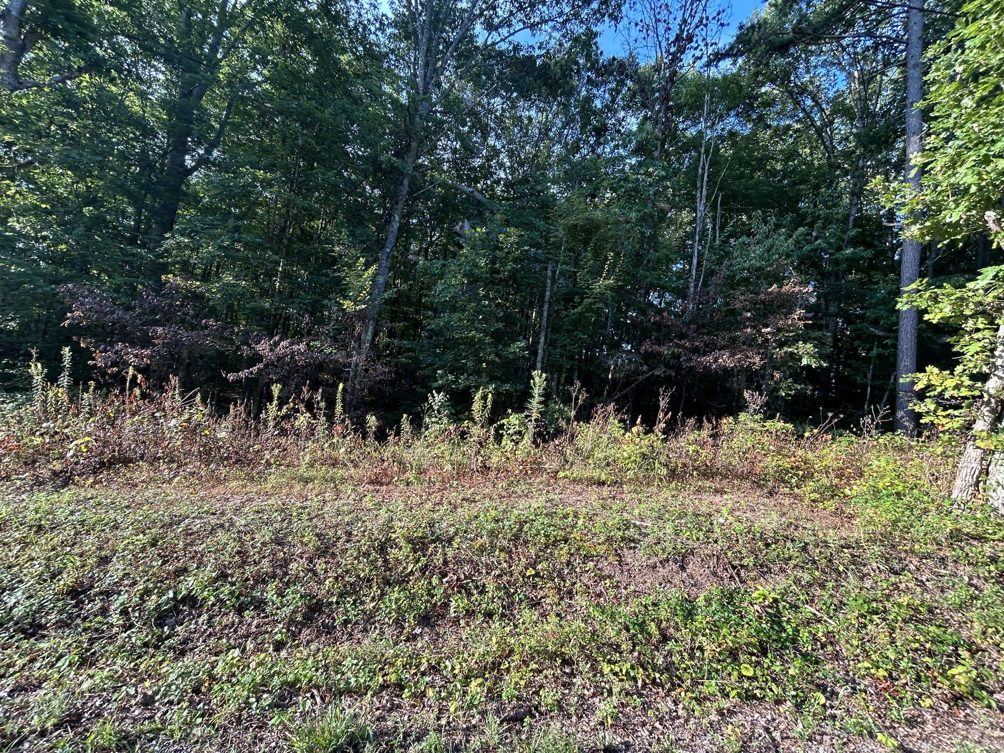 0 Panther Branch Road, Jamestown, TN 38556