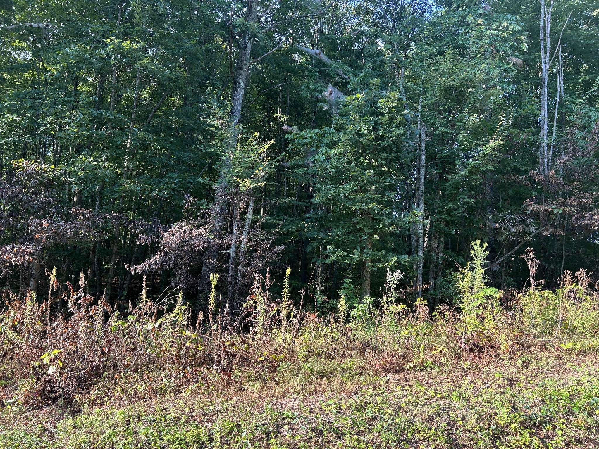 0 Panther Branch Road, Jamestown, TN 38556