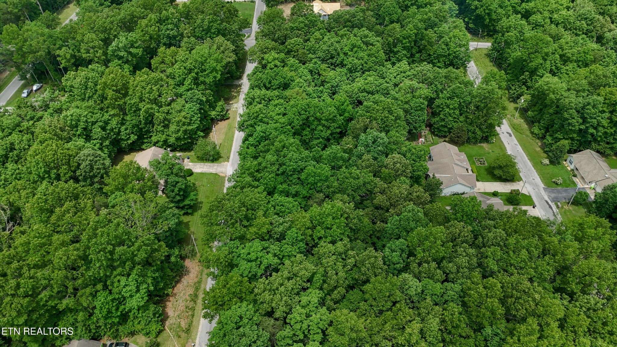2109 Black Wolf Drive, Crossville, TN 38572