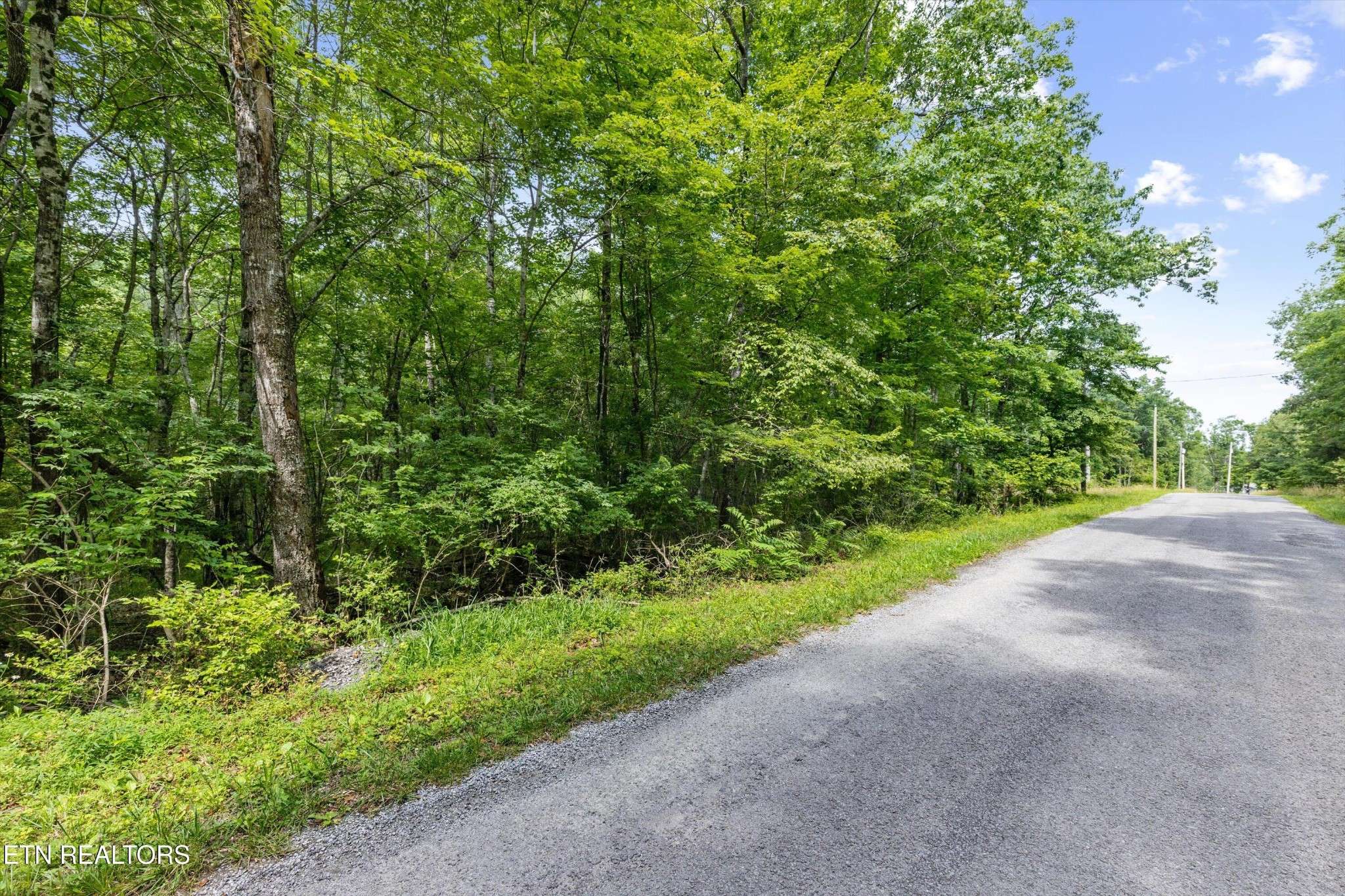 3029 Nocatee Trace, Crossville, TN 38572