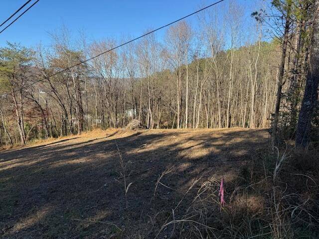 22 Moon Circle, Spring City, TN 37381