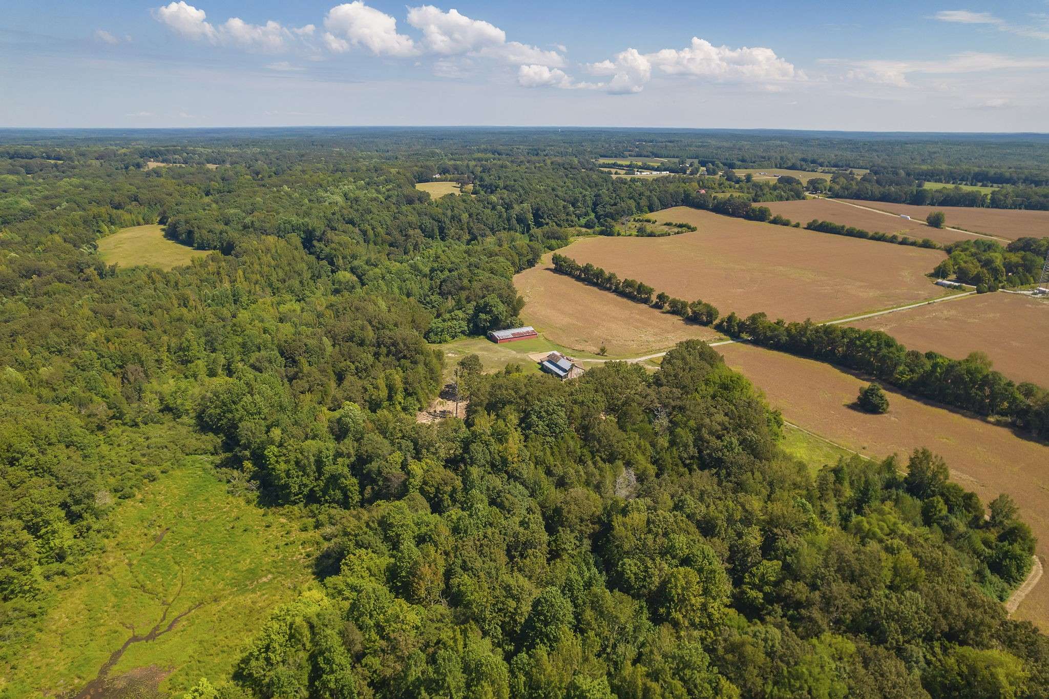 290 Leeford Ln, Cedar Grove, TN 38321
