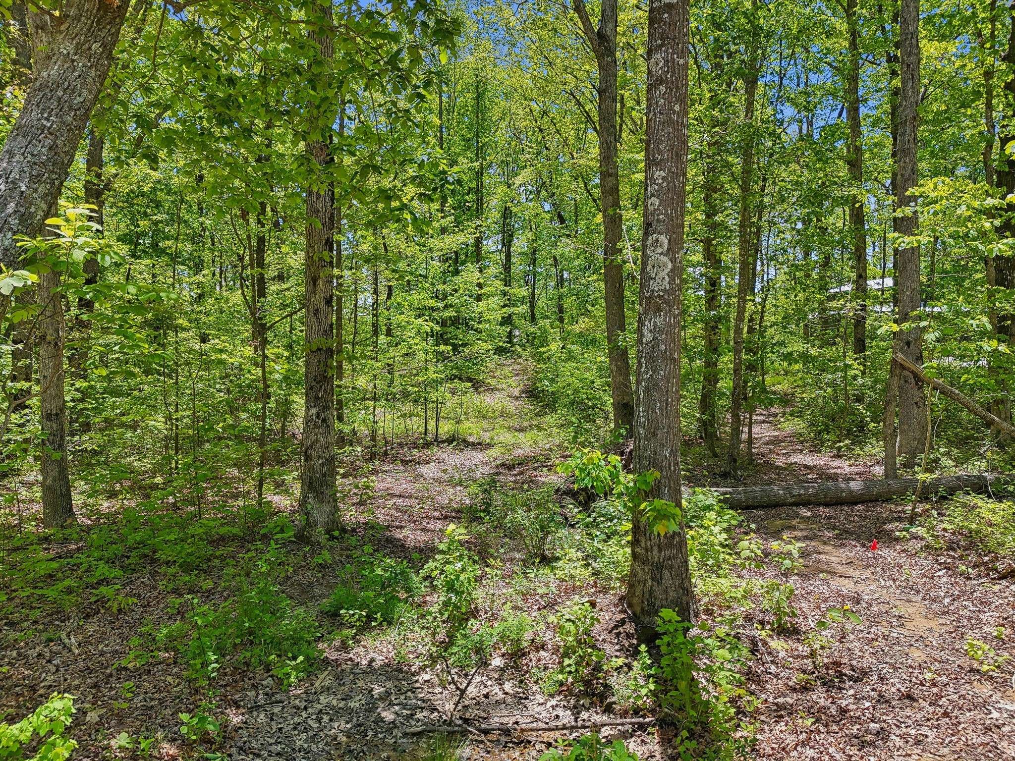 51 Mossy Rock Ln, Monteagle, TN 37356