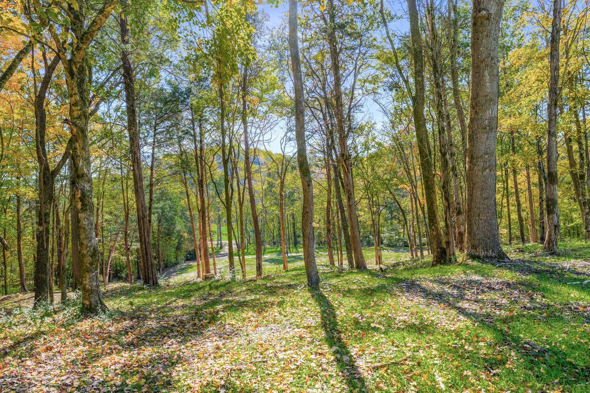 5362 Parker Branch Rd, Franklin, TN 37064