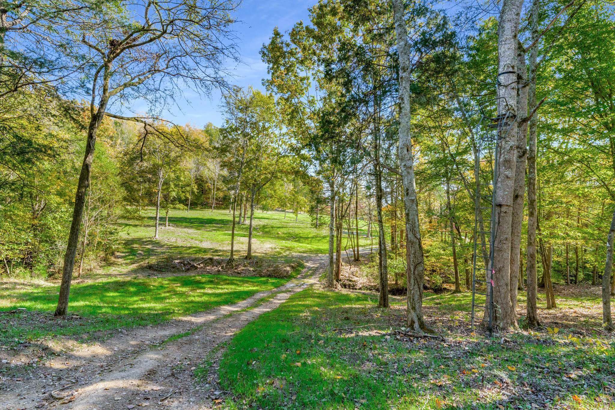 5362 Parker Branch Rd, Franklin, TN 37064