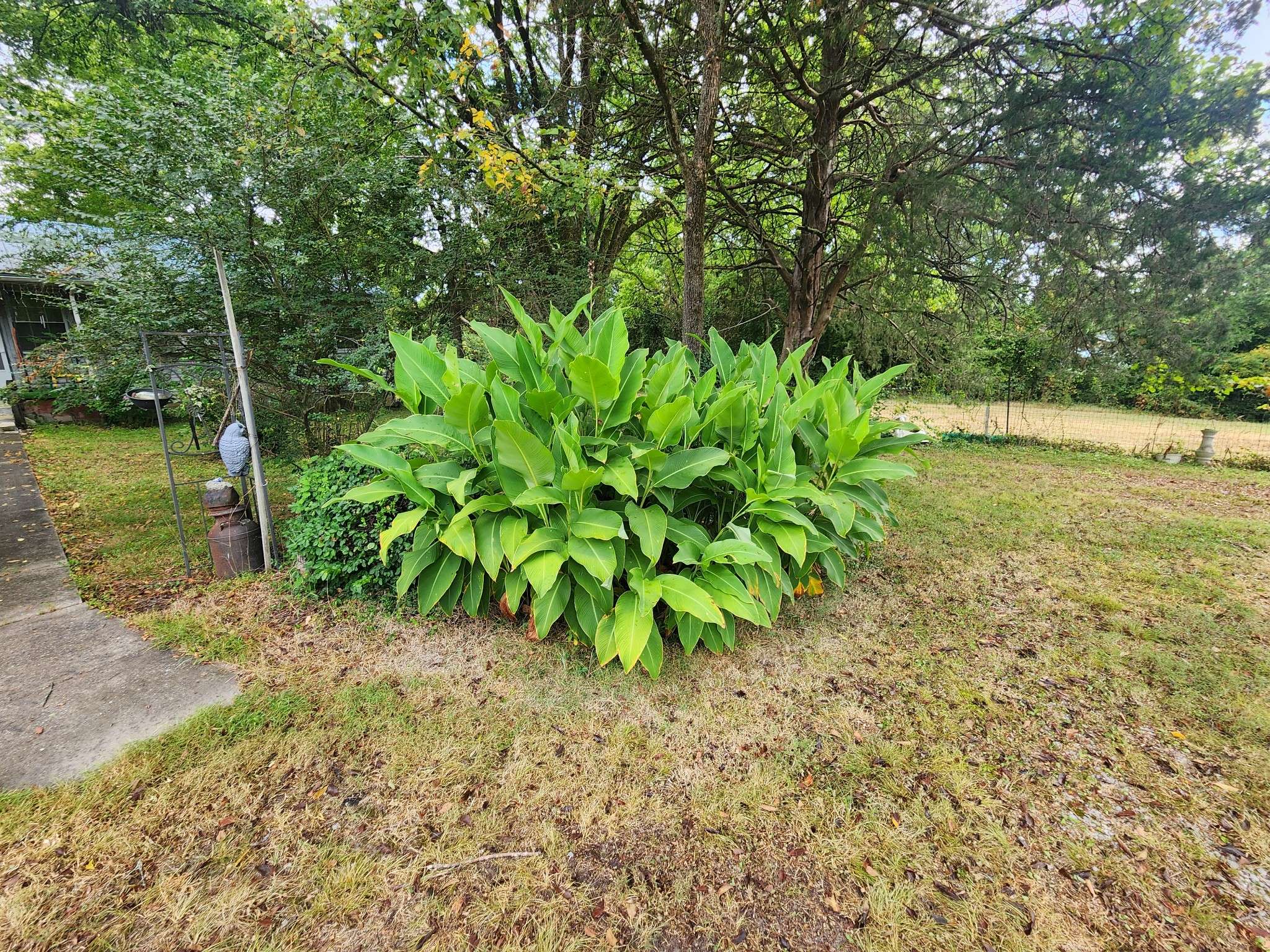 6670 Newstead Rd, Hopkinsville, KY 42240