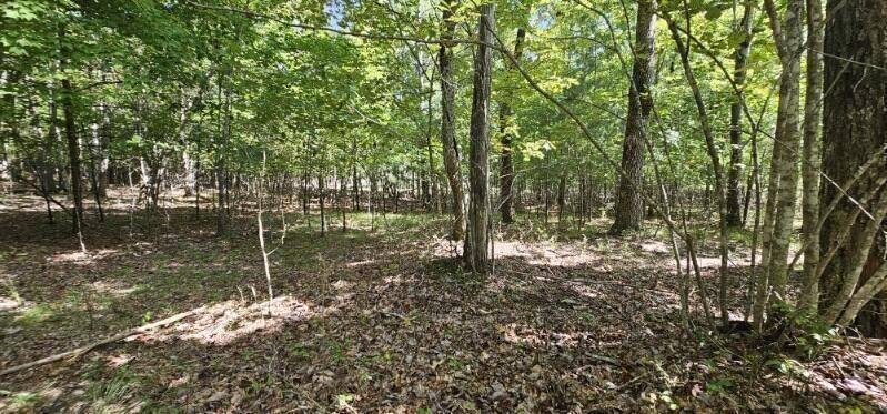 327 2 Lake Trl, Dunlap, TN 37327
