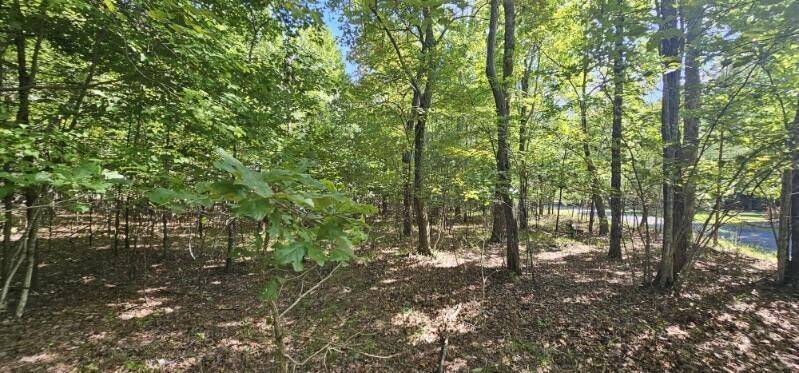 327 2 Lake Trl, Dunlap, TN 37327