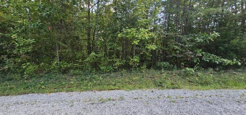 13 Bear Wallow Rd, Dunlap, TN 37327