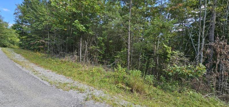 13 Bear Wallow Rd, Dunlap, TN 37327