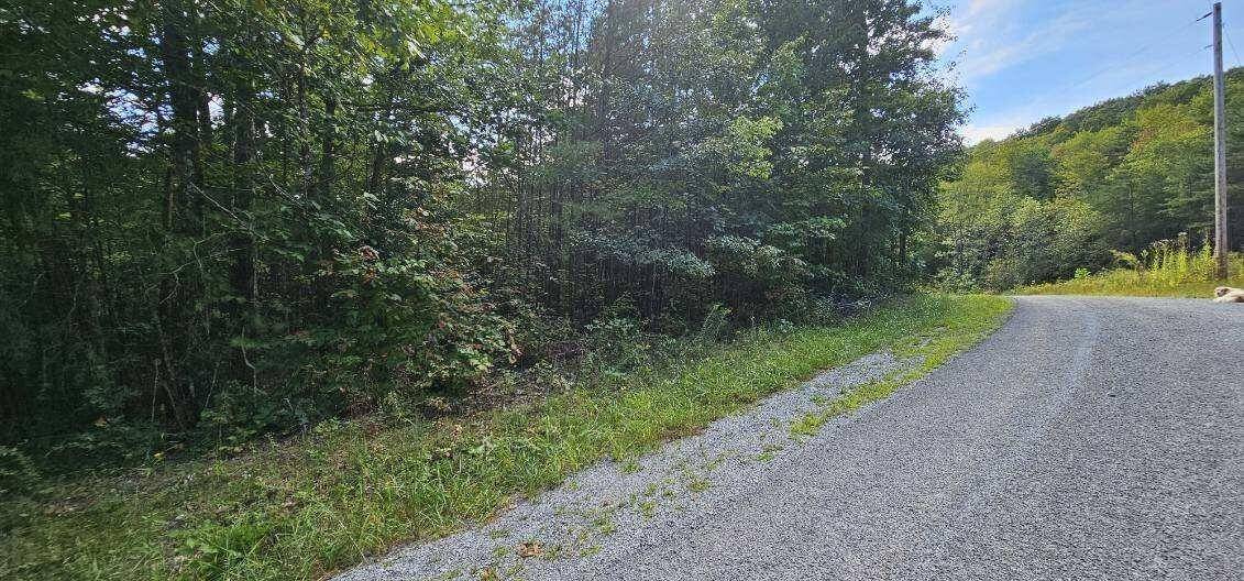 13 Bear Wallow Rd, Dunlap, TN 37327