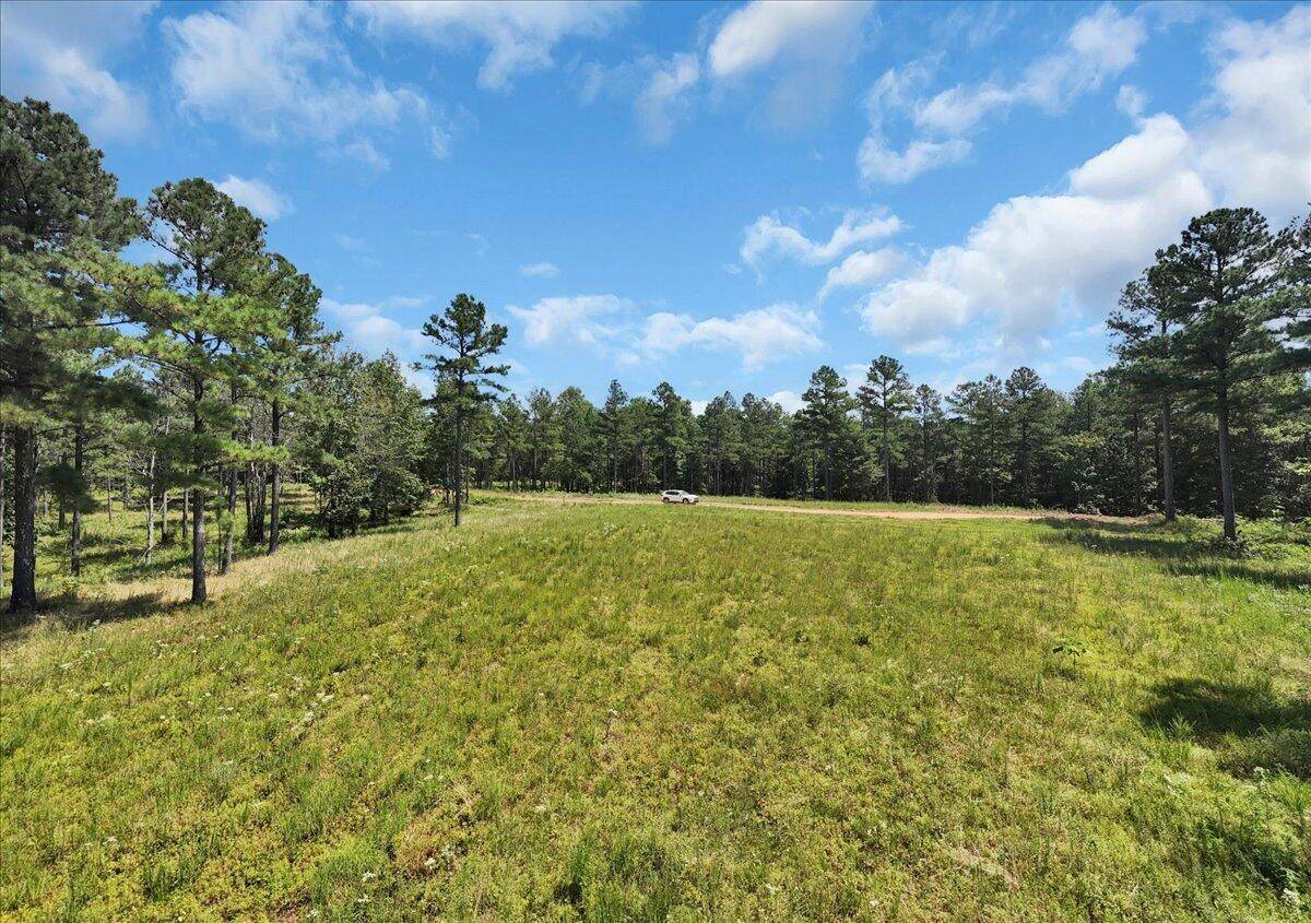 0 Musket Road, Guild, TN 37340
