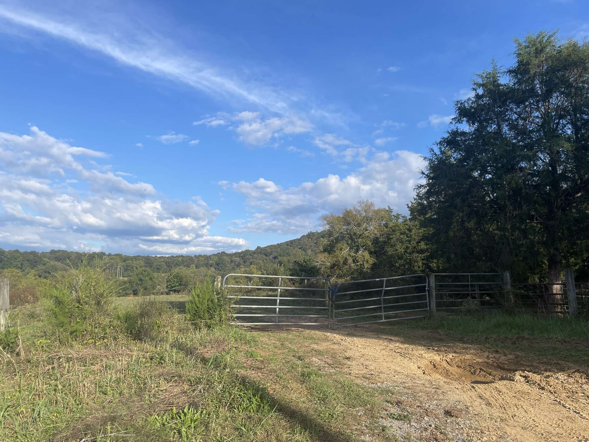1380 Conrad Templeton Rd, Quebeck, TN 38579