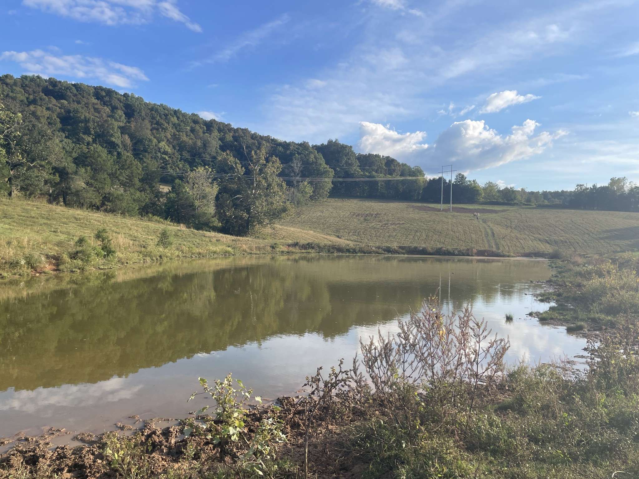 1380 Conrad Templeton Rd, Quebeck, TN 38579