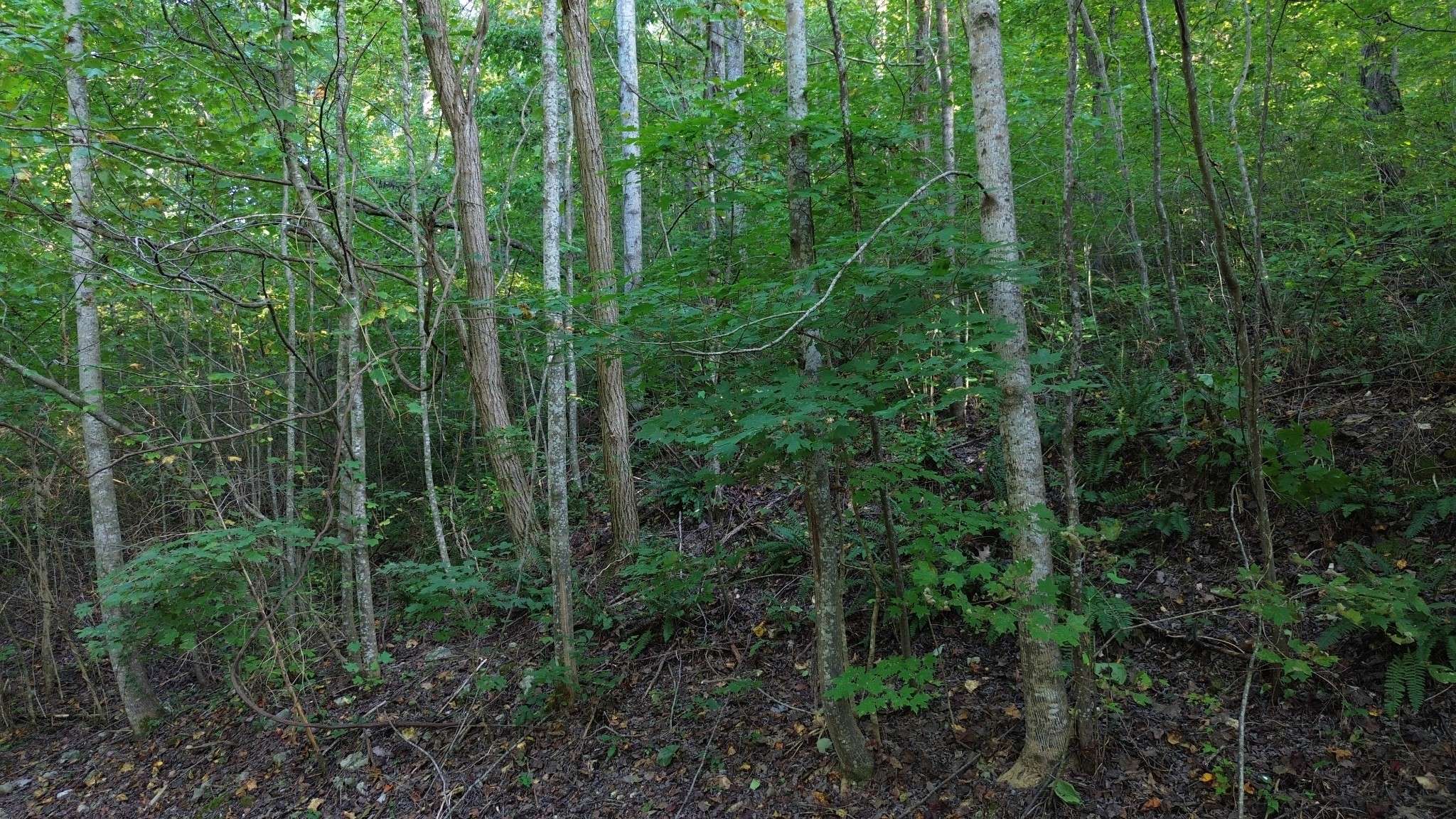 77 Baymont Dr, Lancaster, TN 38569