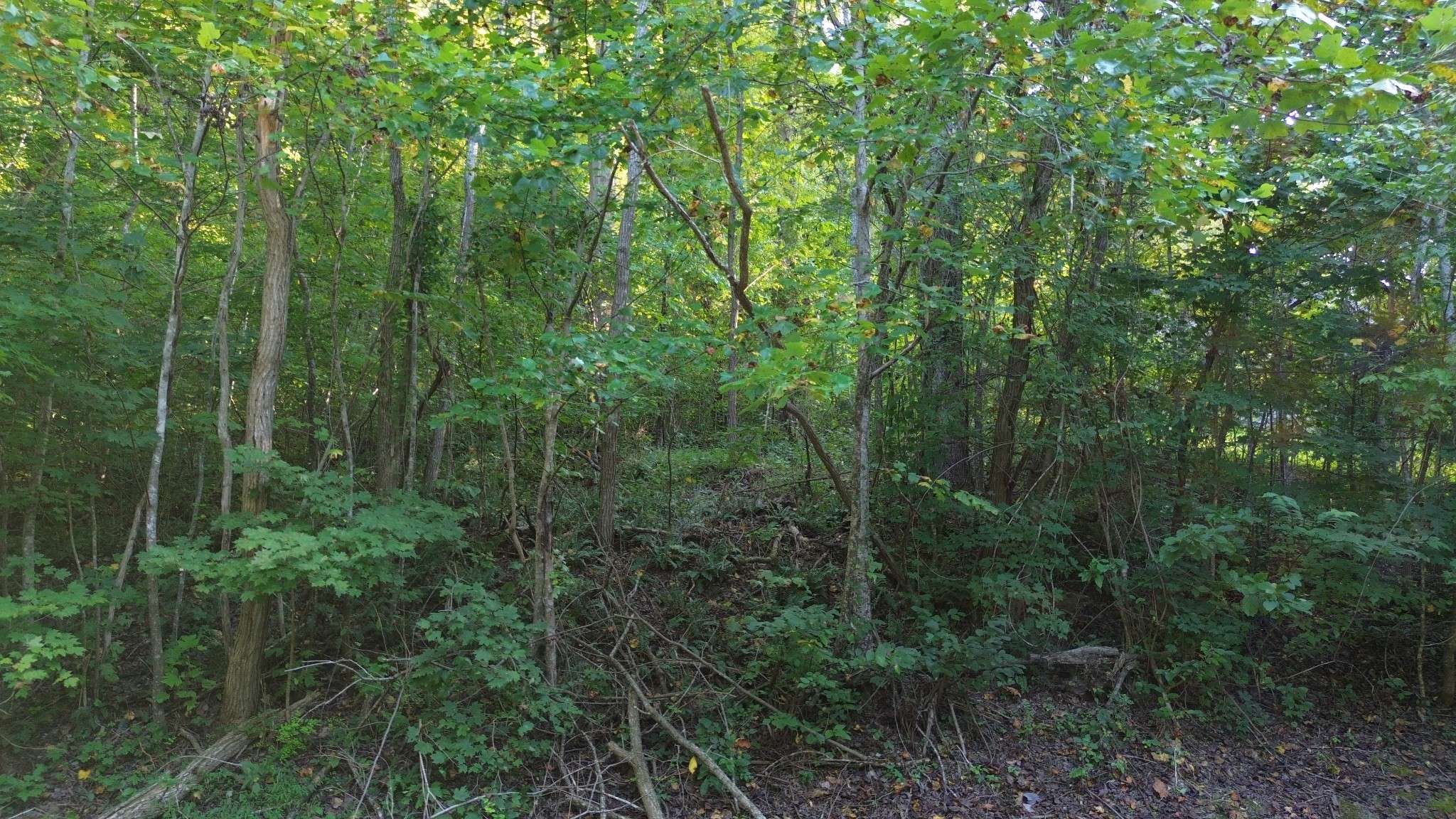77 Baymont Dr, Lancaster, TN 38569