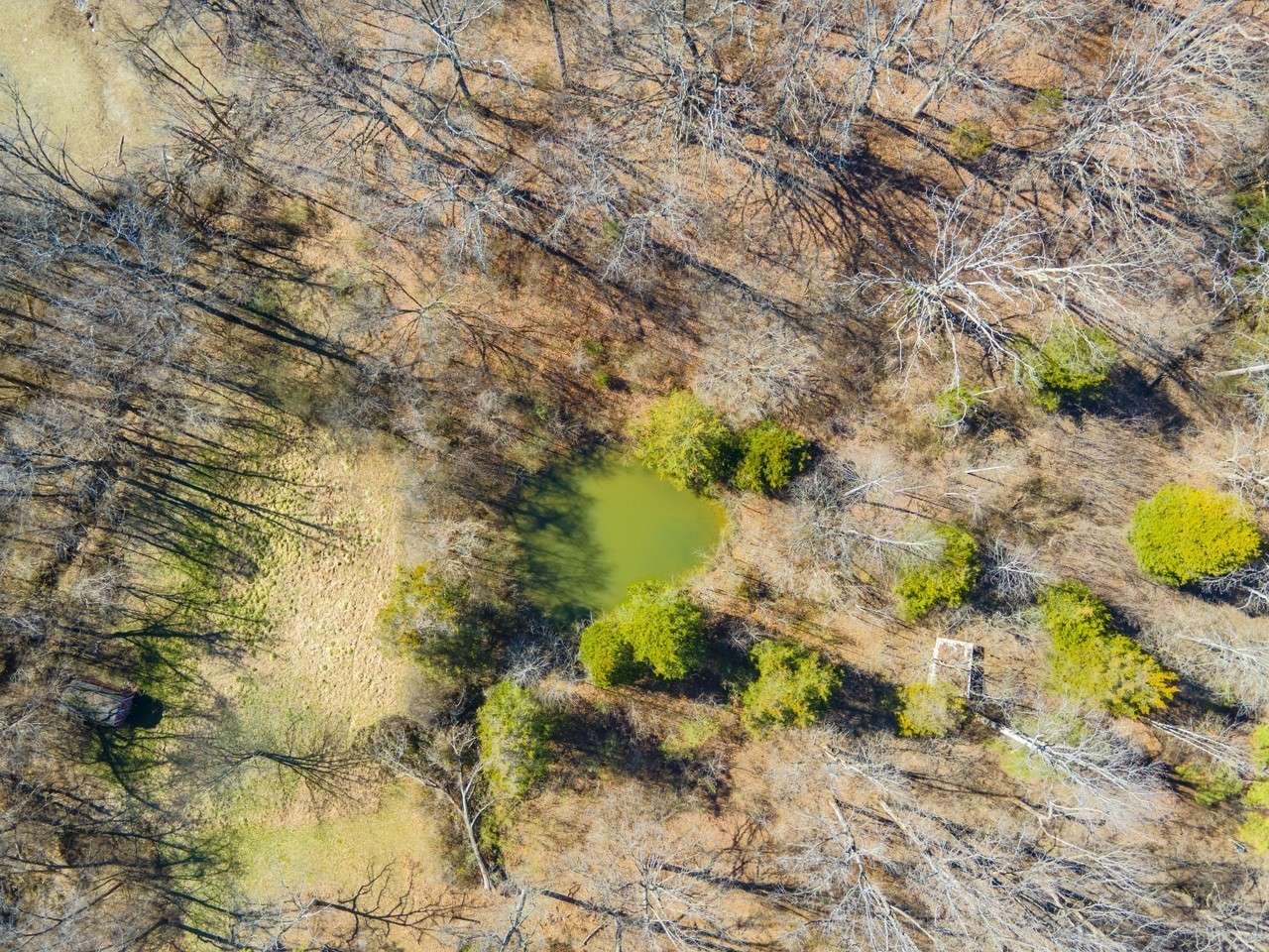 5407 Cane Ridge Rd, Antioch, TN 37013