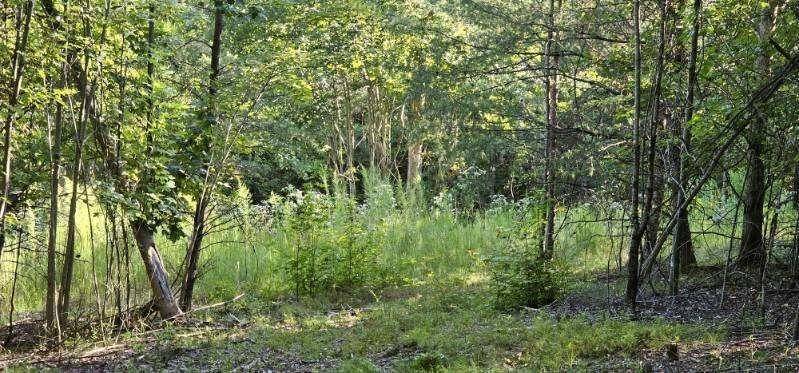 561 Bluff View Drive, Dunlap, TN 37327