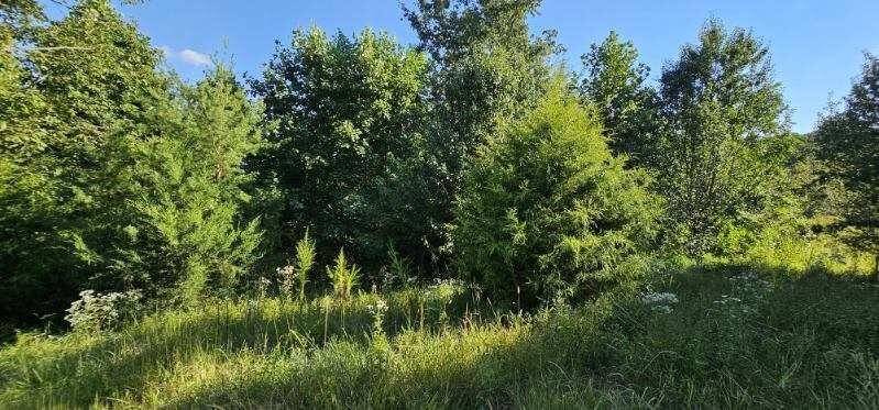 561 Bluff View Drive, Dunlap, TN 37327