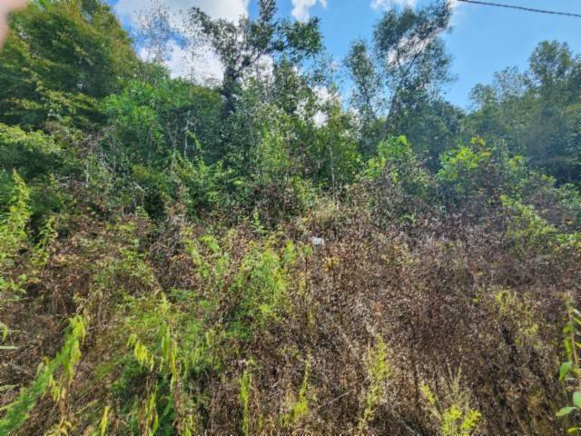 0 Apache Rd, Jamestown, TN 38556