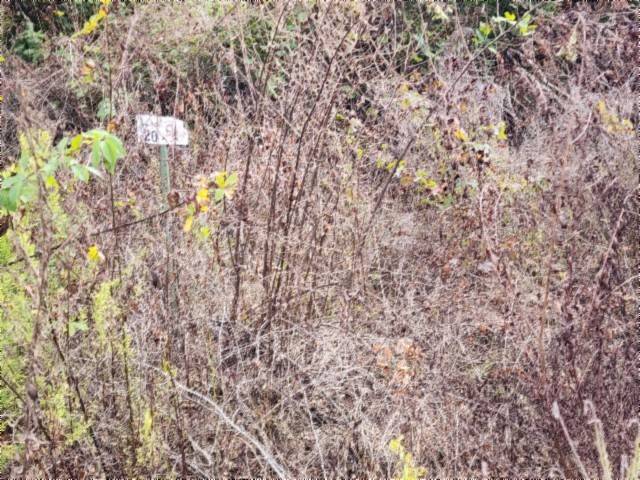 0 Apache Rd, Jamestown, TN 38556