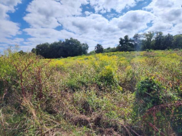 0 Anderson Rd, Byrdstown, TN 38549