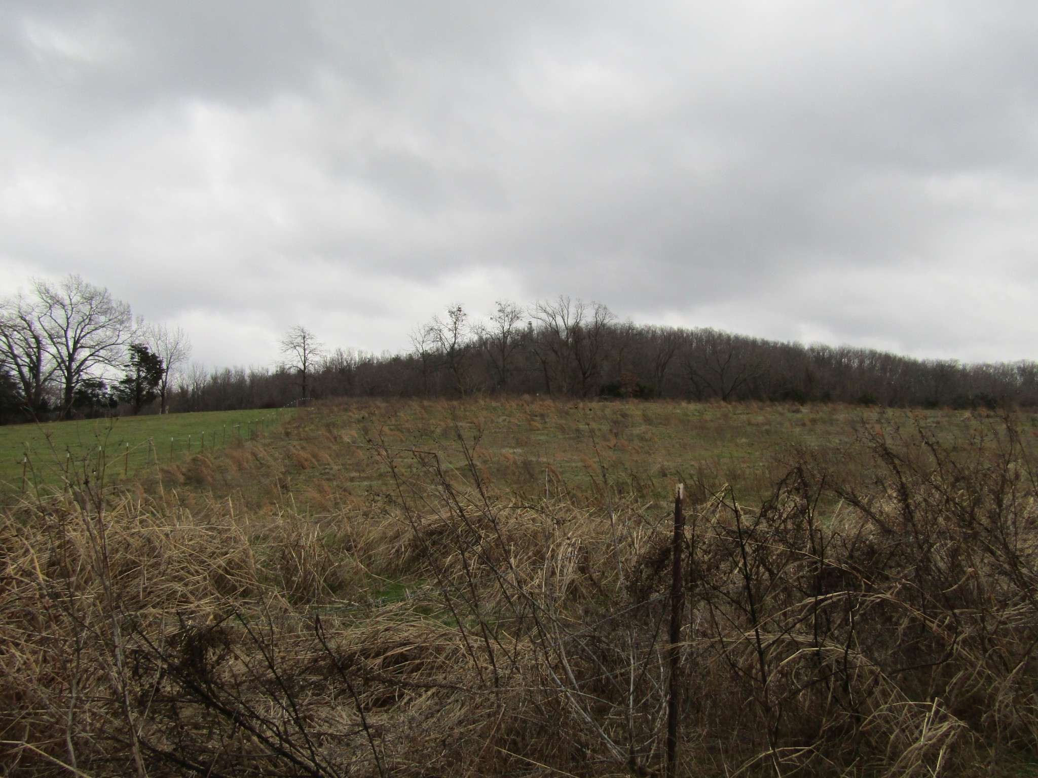 0 Anderson Rd, Byrdstown, TN 38549
