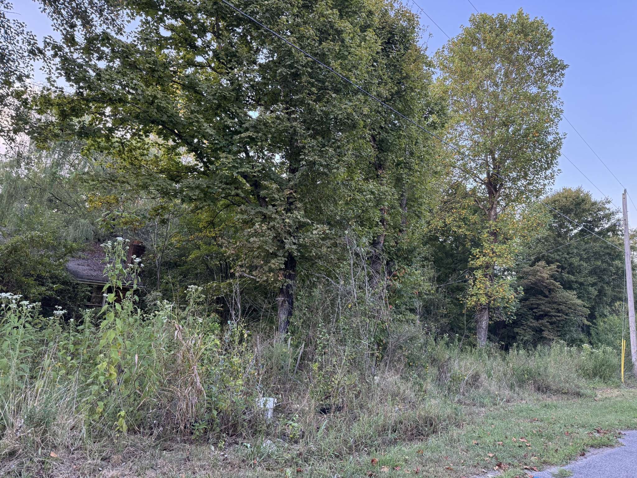 1339 Mount Herman Rd, Southside, TN 37171