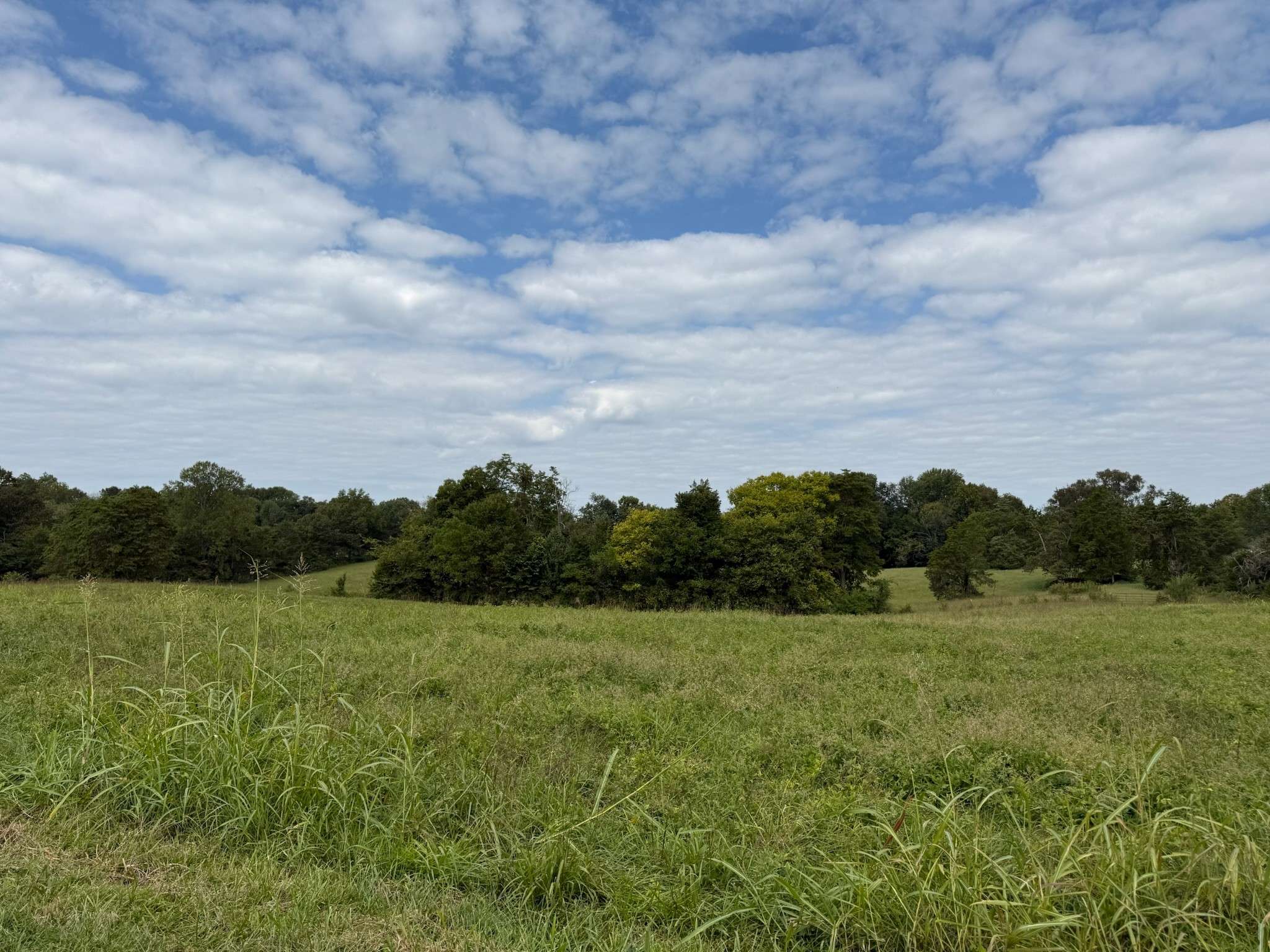 1 County House Rd, Tompkinsville, KY 42167