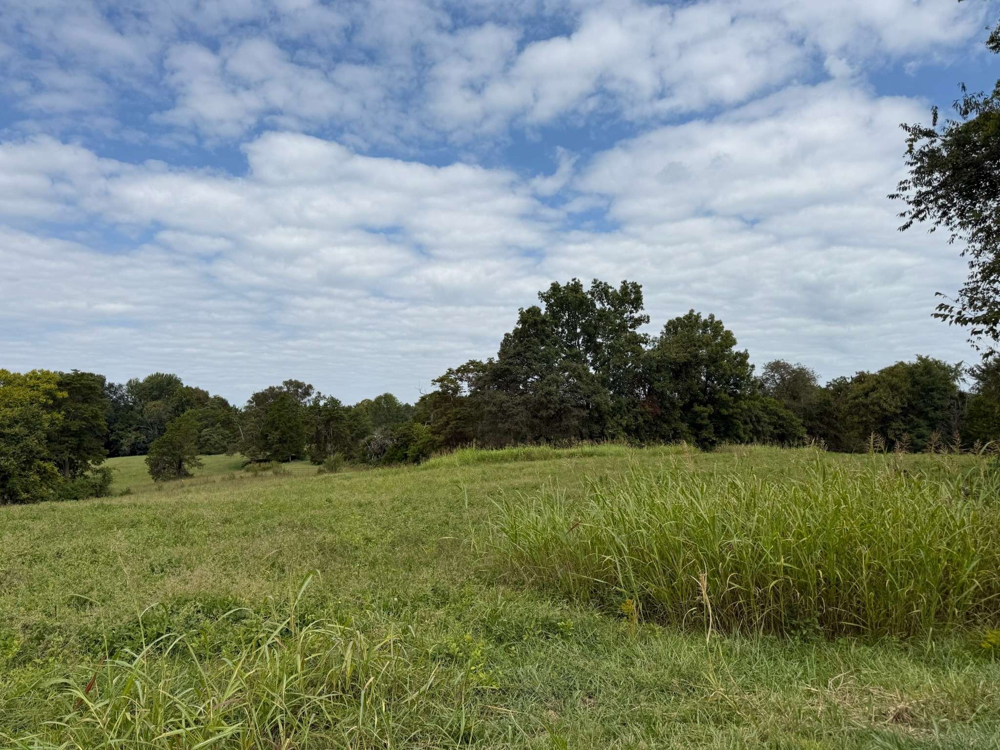 1 County House Rd, Tompkinsville, KY 42167