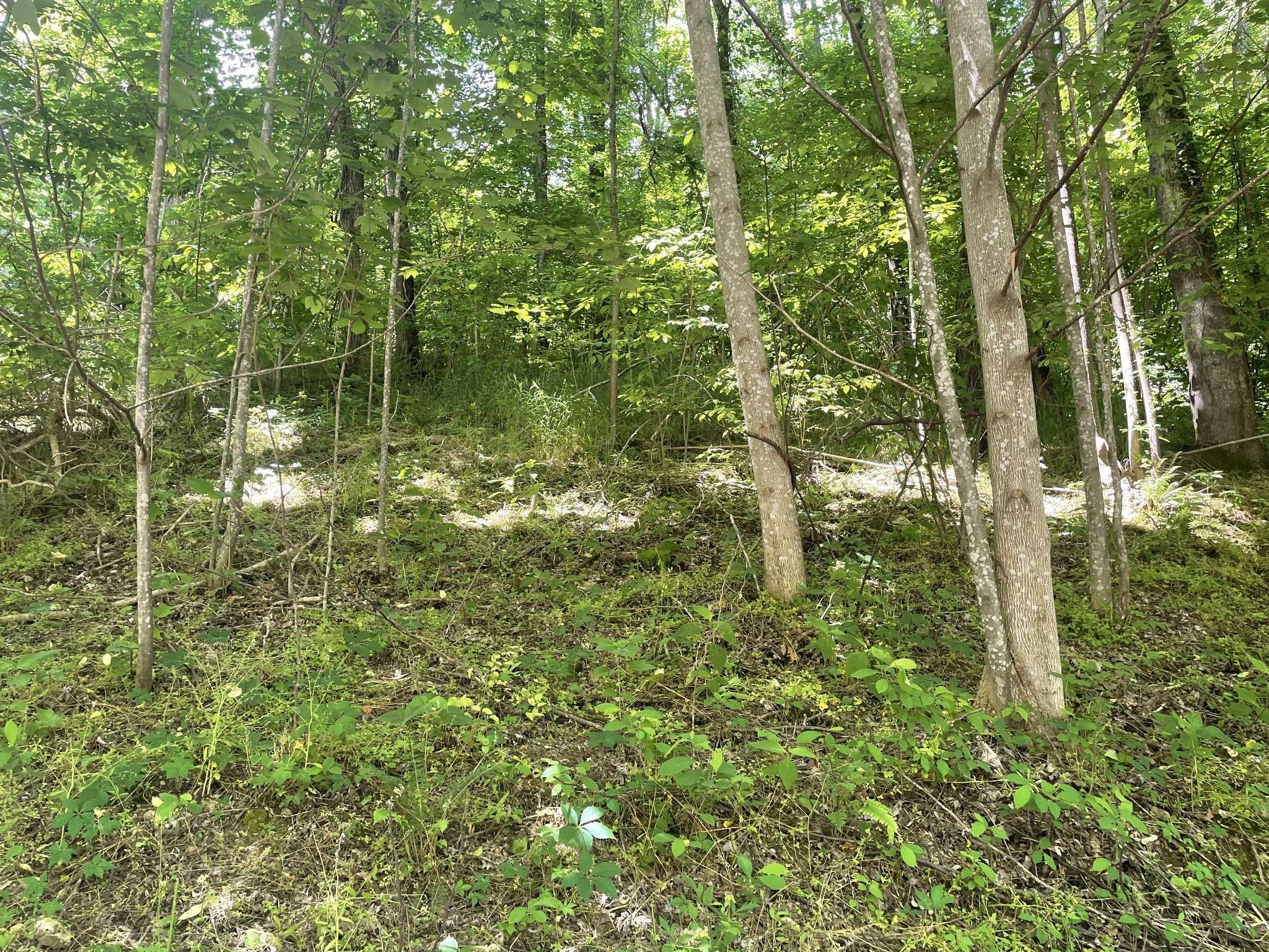 0 Harbor Dr, Lancaster, TN 38569