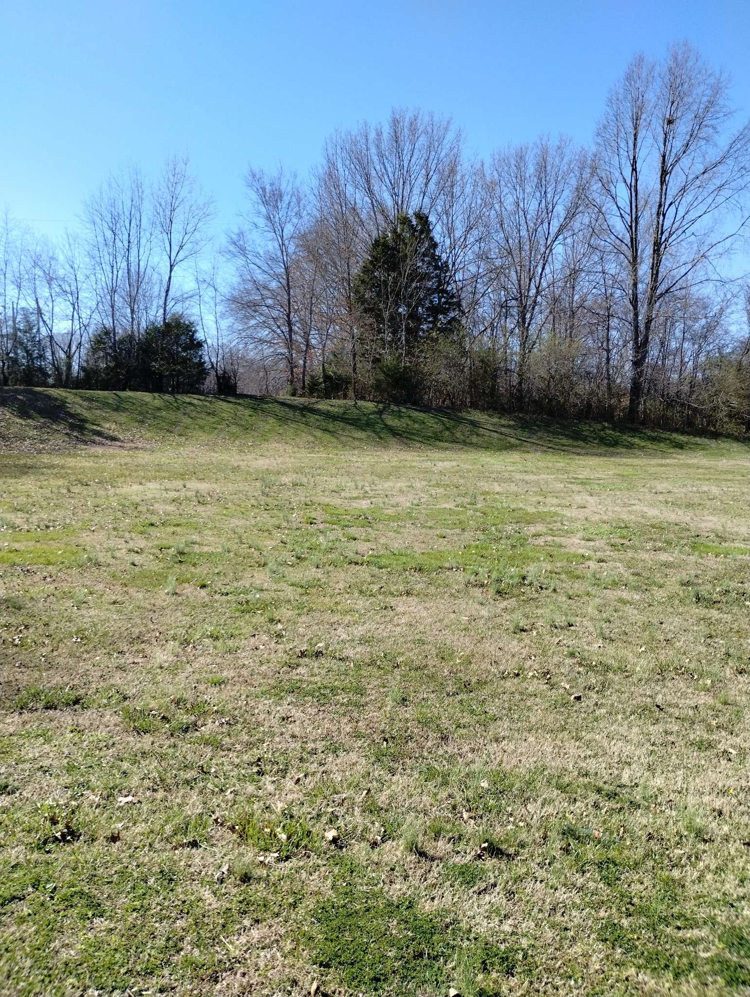 2448 Fairview Blvd, Fairview, TN 37062