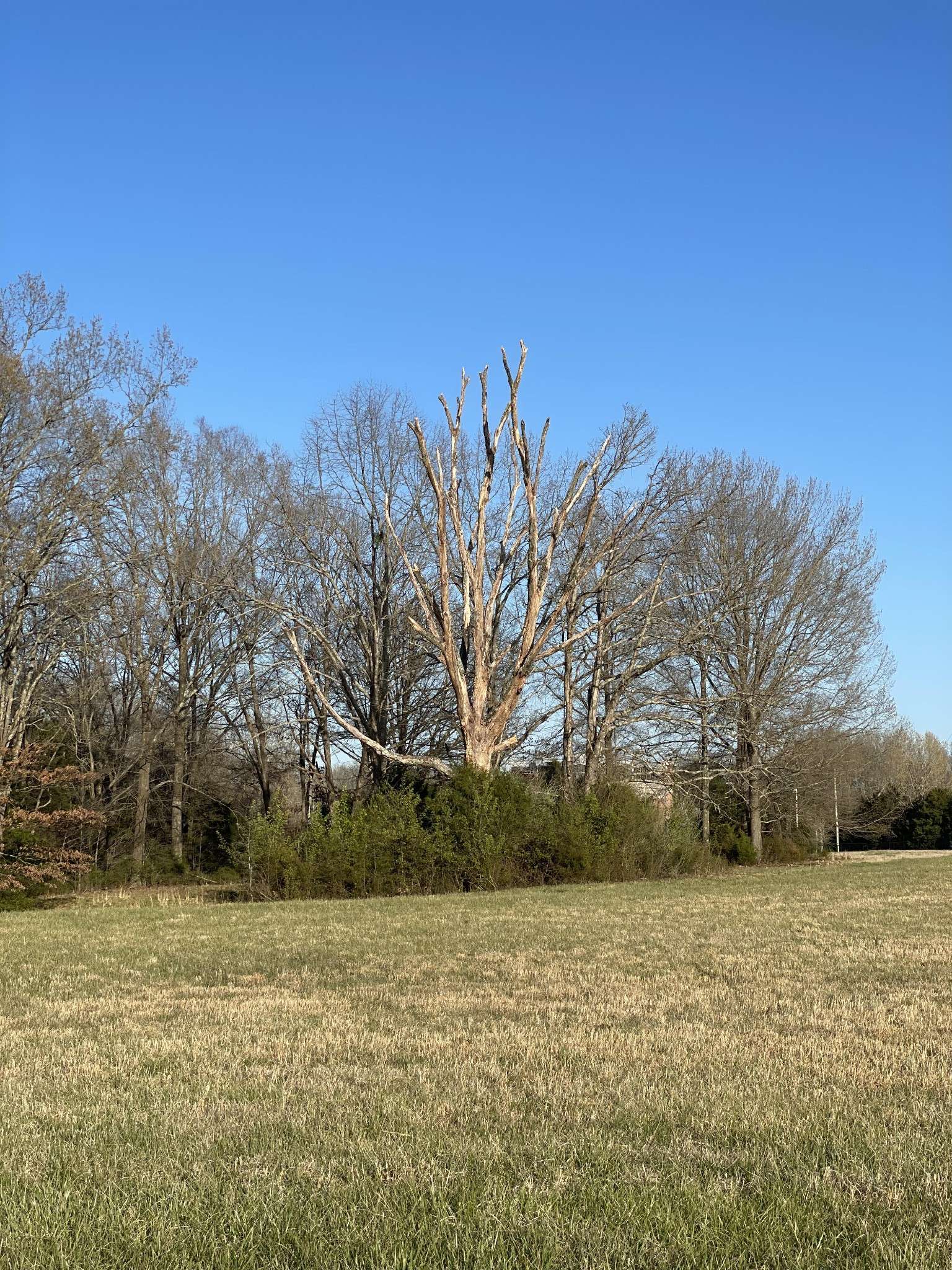 0 Northern field #E, Tullahoma, TN 37388