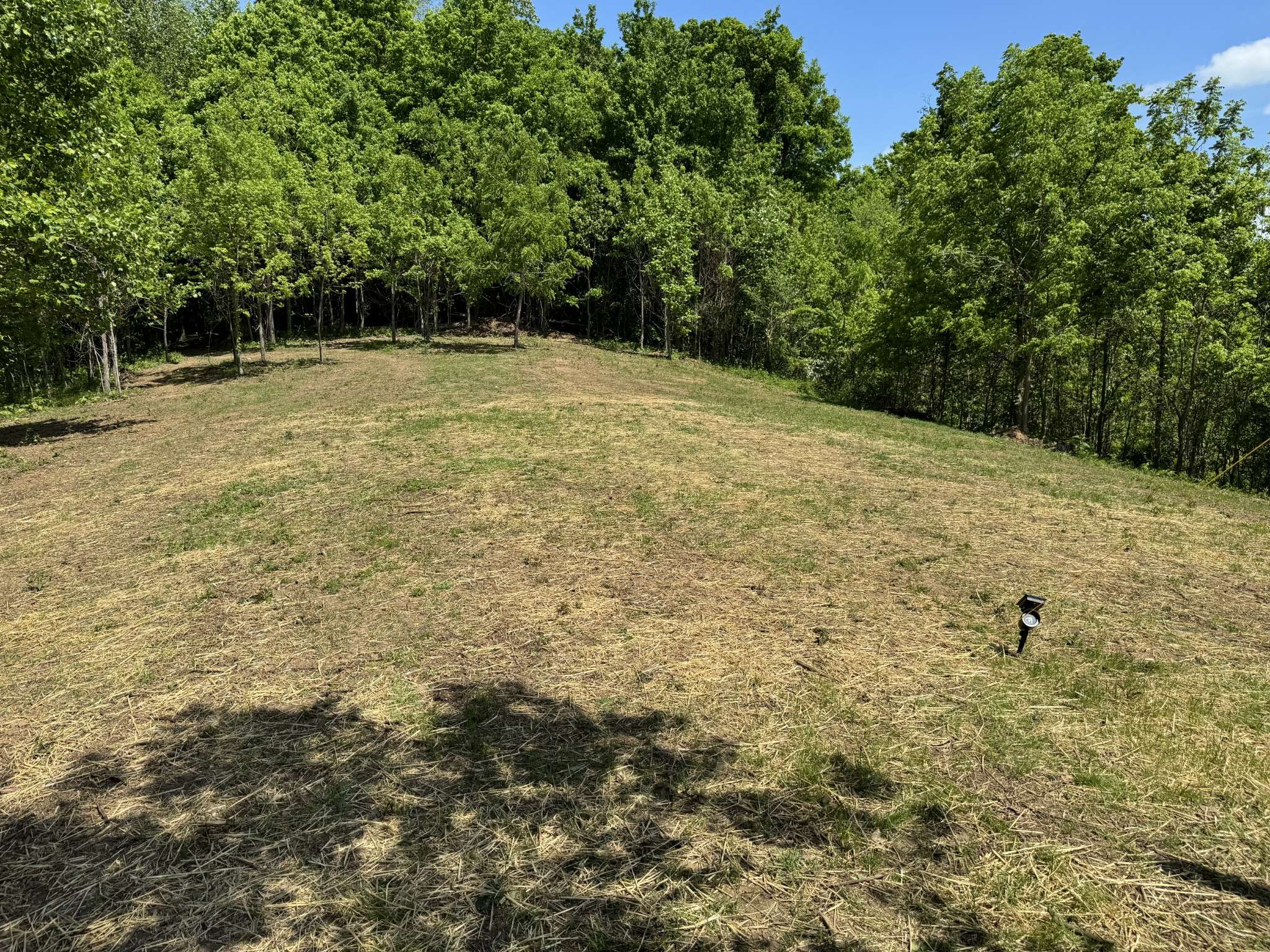 337 Carellton Dr, Gallatin, TN 37066