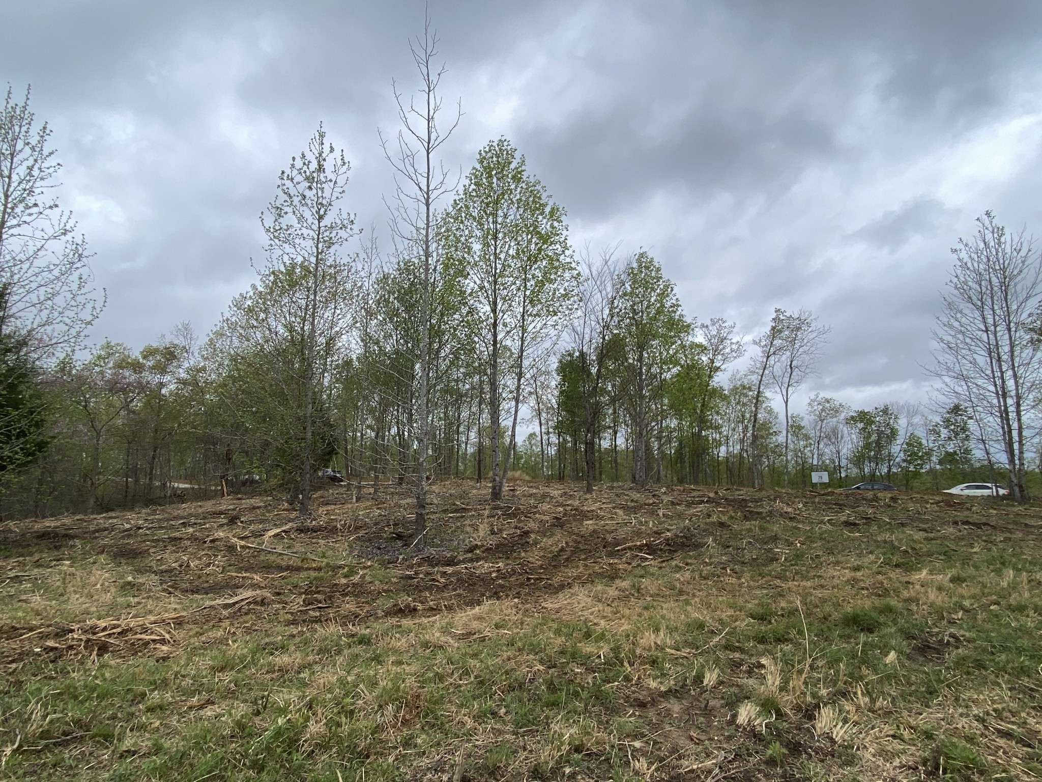 79 Overlook Trail, Stewart, TN 37175