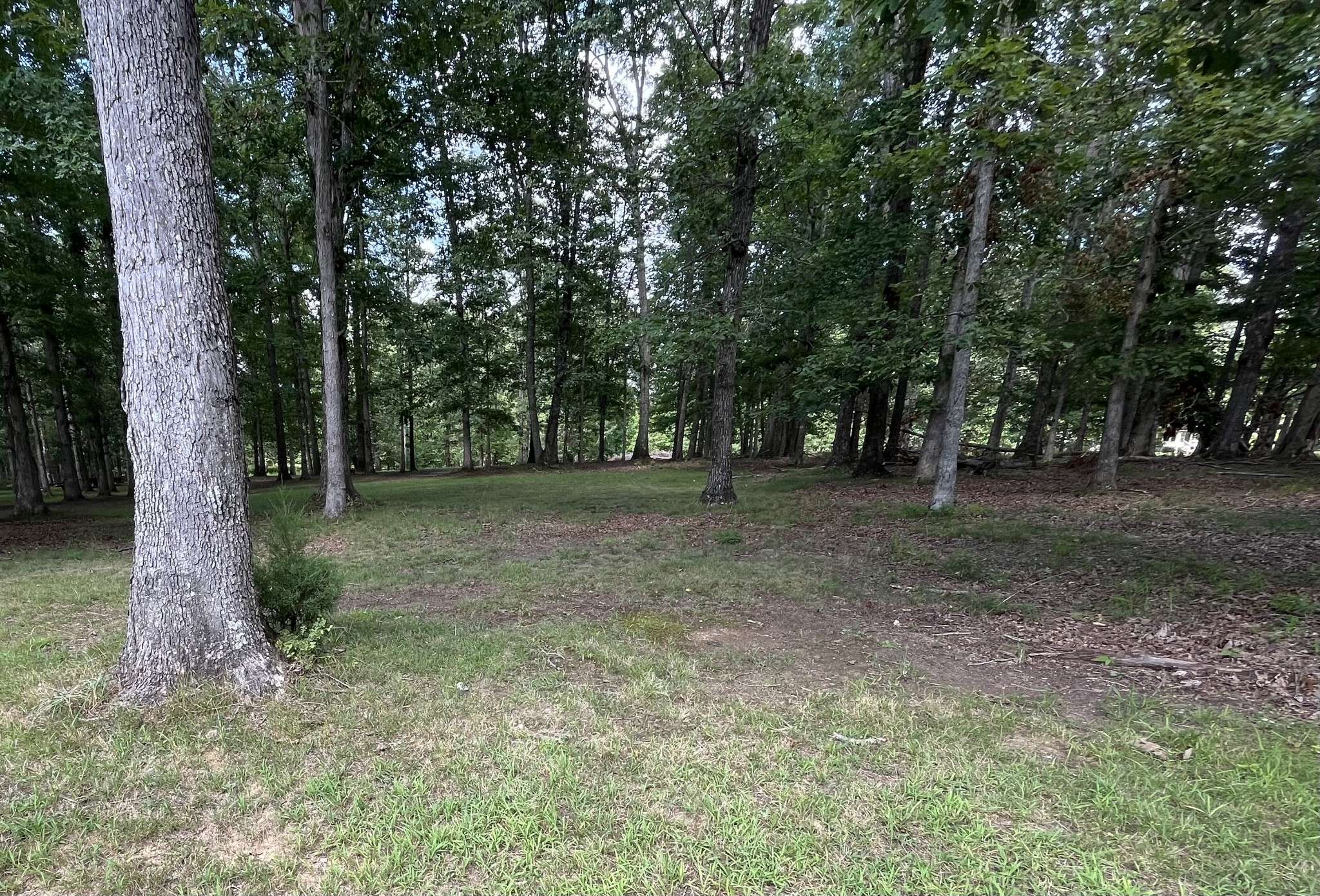 214 Blackberry Farm Rd #W, Monteagle, TN 37356