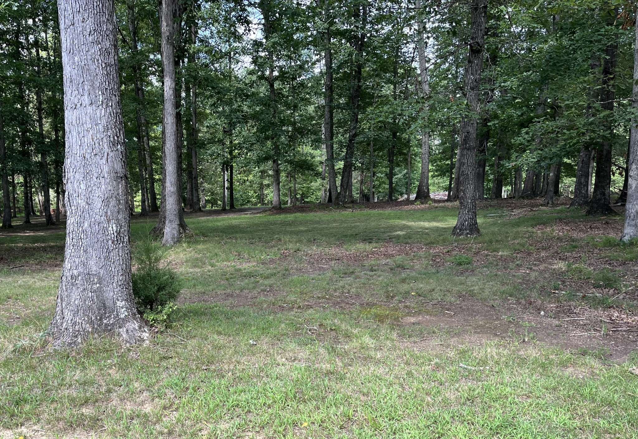 206 Blackberry Farm Rd #W, Monteagle, TN 37356