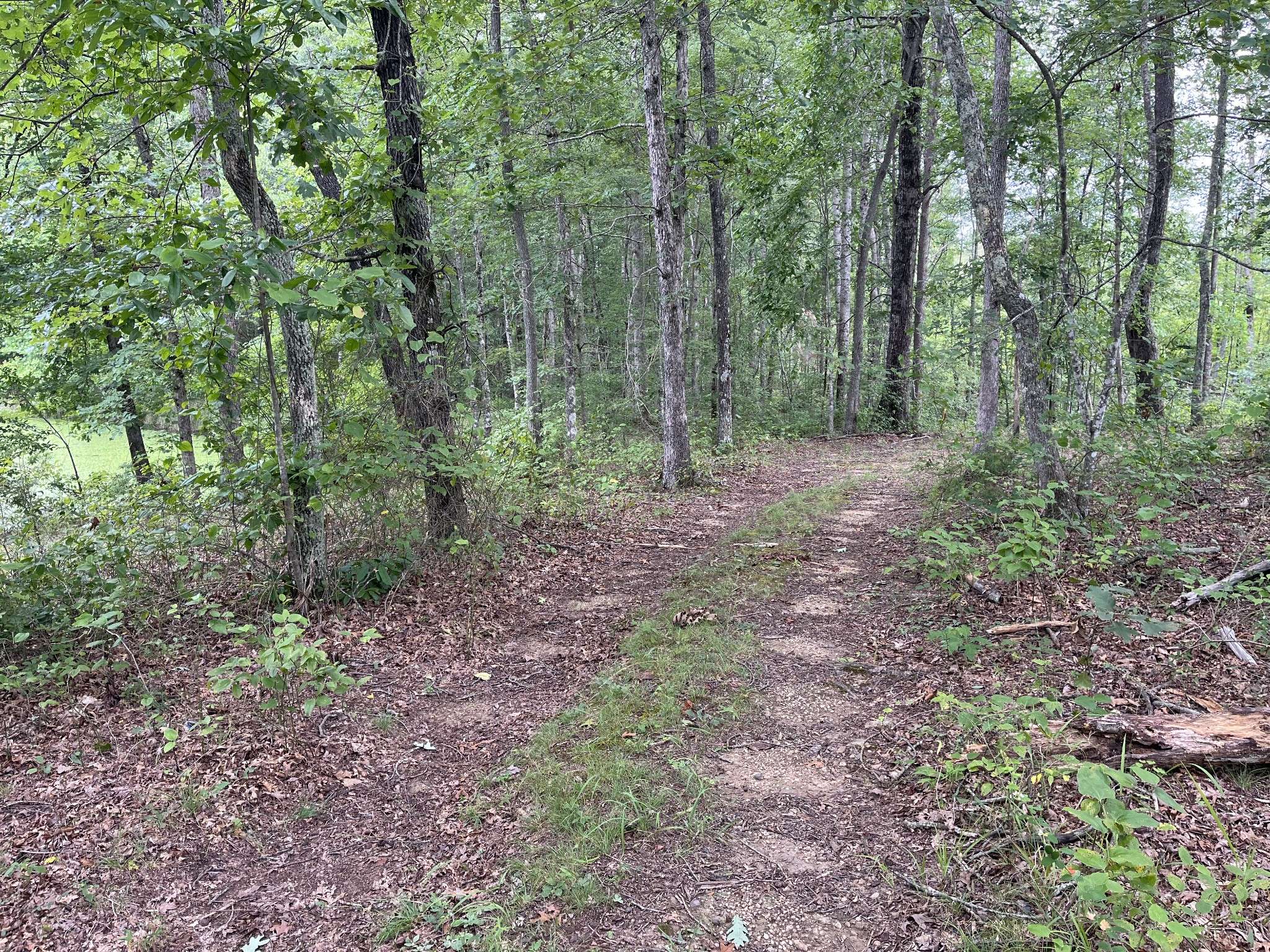 42 Chickory Lane, Monteagle, TN 37356
